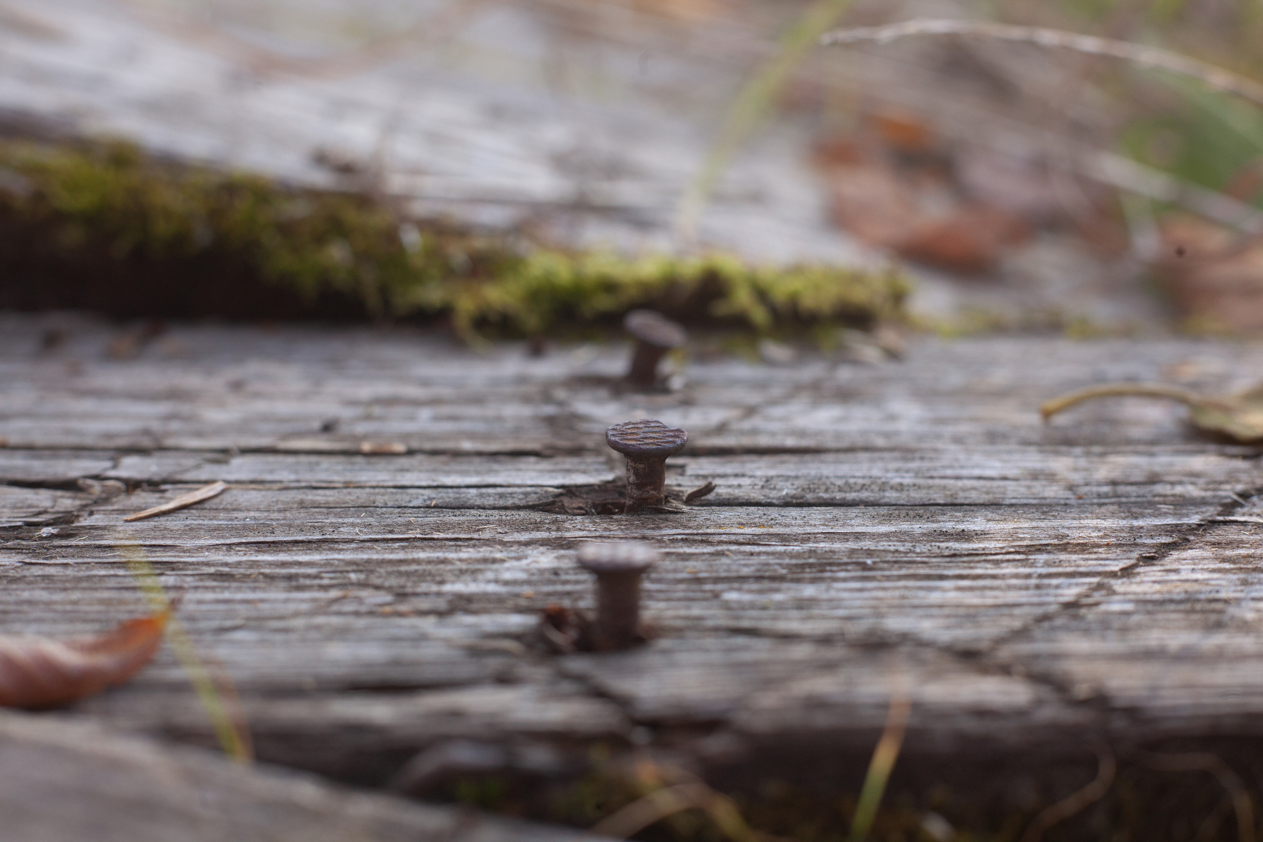 Осень 2021. Фотограф и ретушер Маргарита Павлюк Москва