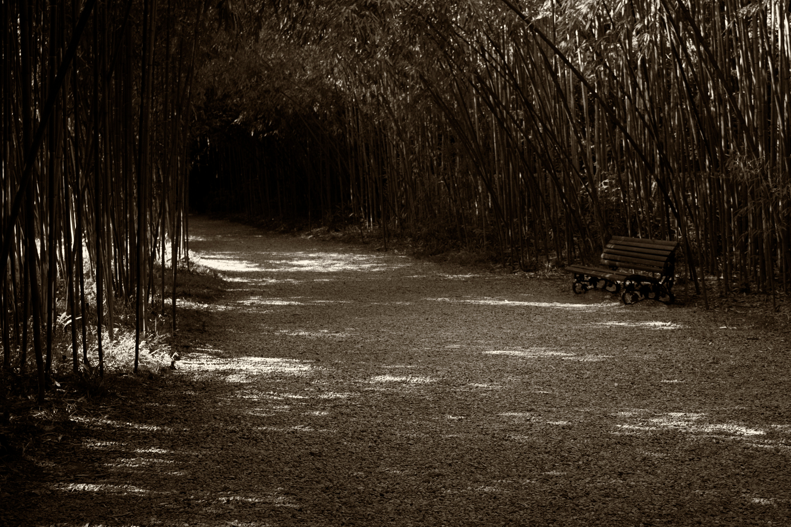 Абхазия. Фотограф и ретушер Маргарита Павлюк Москва