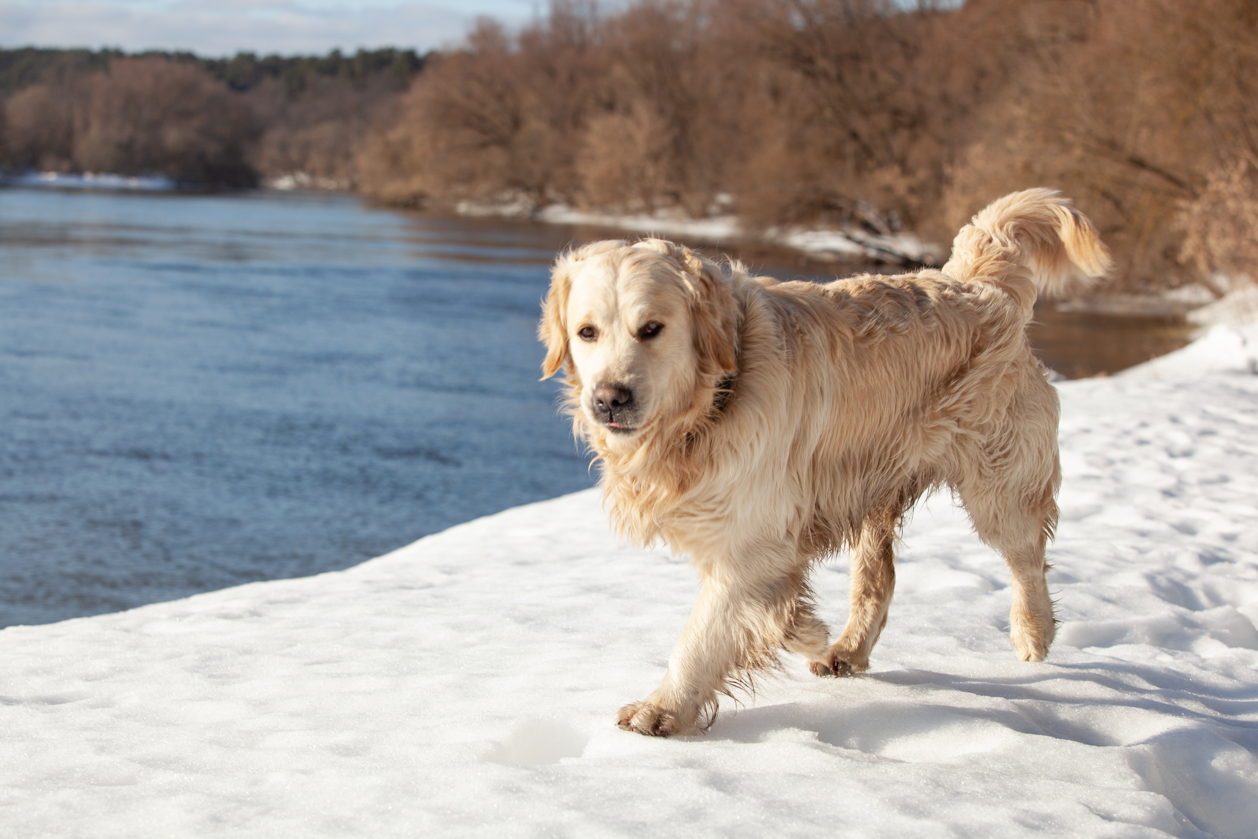 Весна 2022. Фотограф и ретушер Маргарита Павлюк Москва