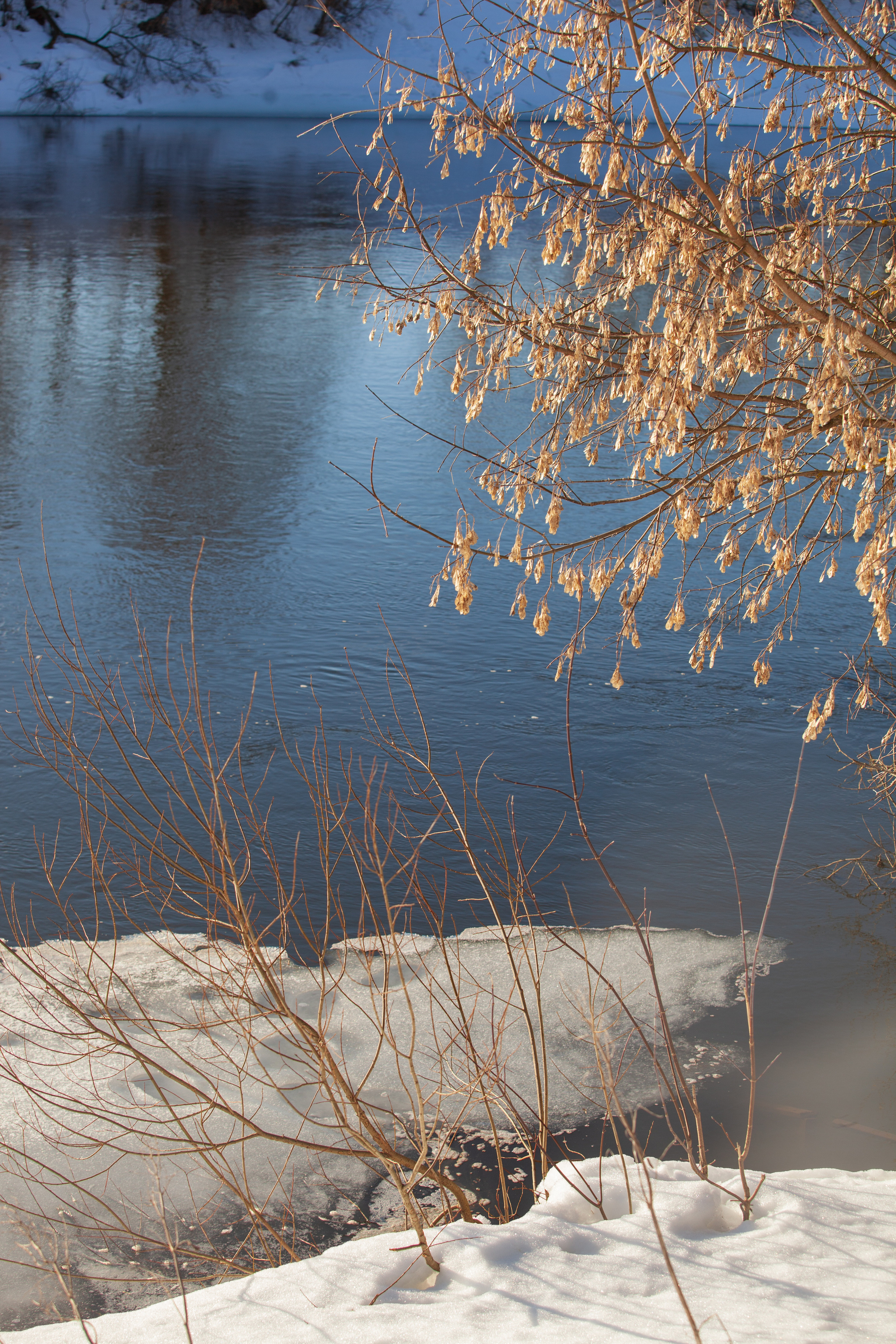 Весна 2022. Фотограф и ретушер Маргарита Павлюк Москва
