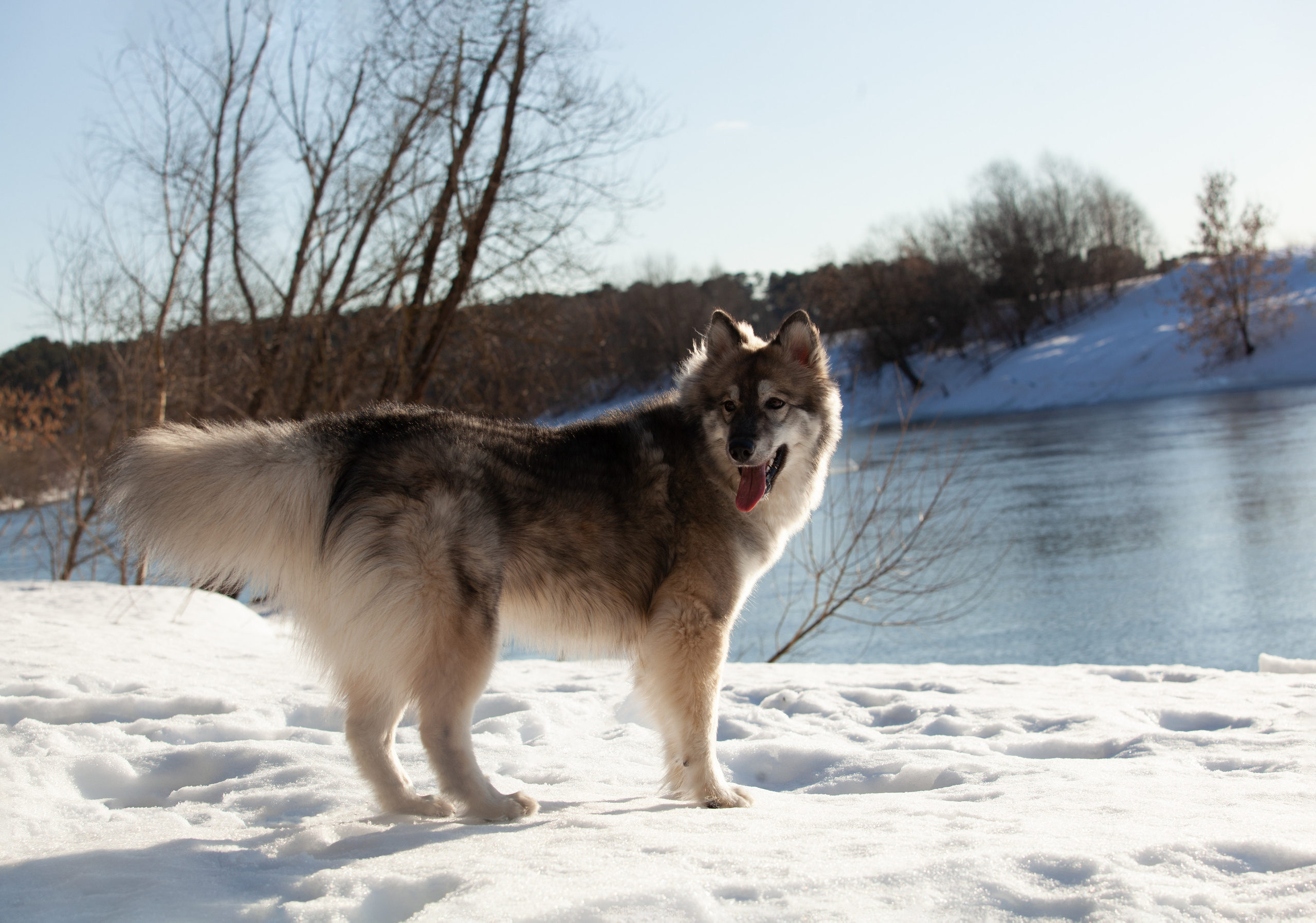 Весна 2022. Фотограф и ретушер Маргарита Павлюк Москва