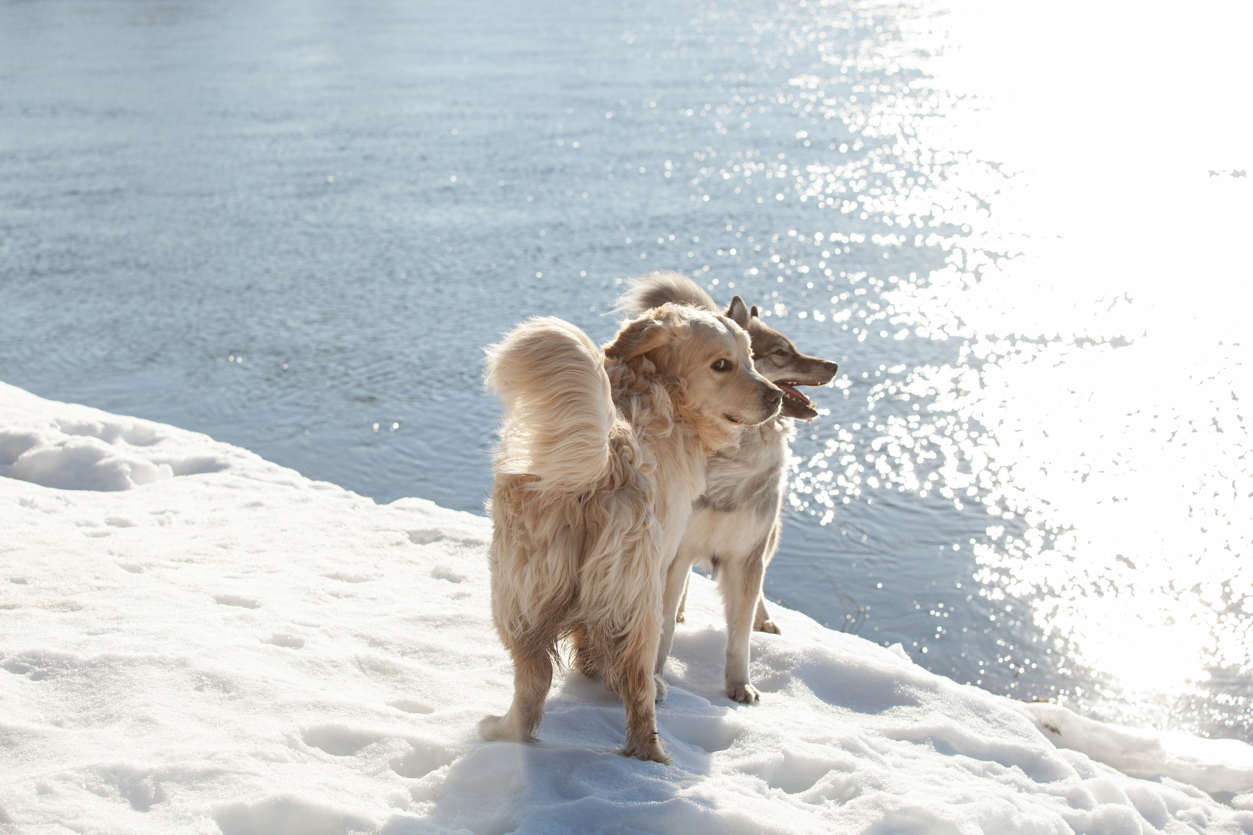 Весна 2022. Фотограф и ретушер Маргарита Павлюк Москва