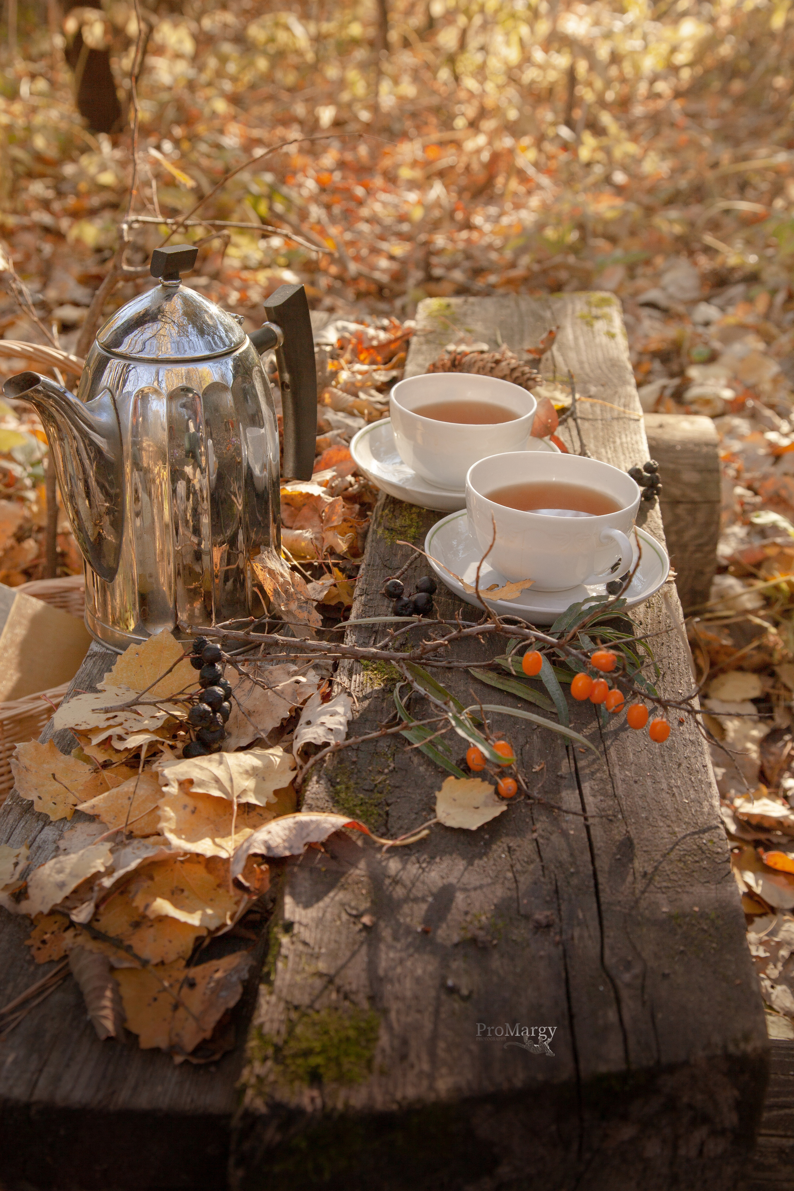 Осень 2021. Фотограф и ретушер Маргарита Павлюк Москва