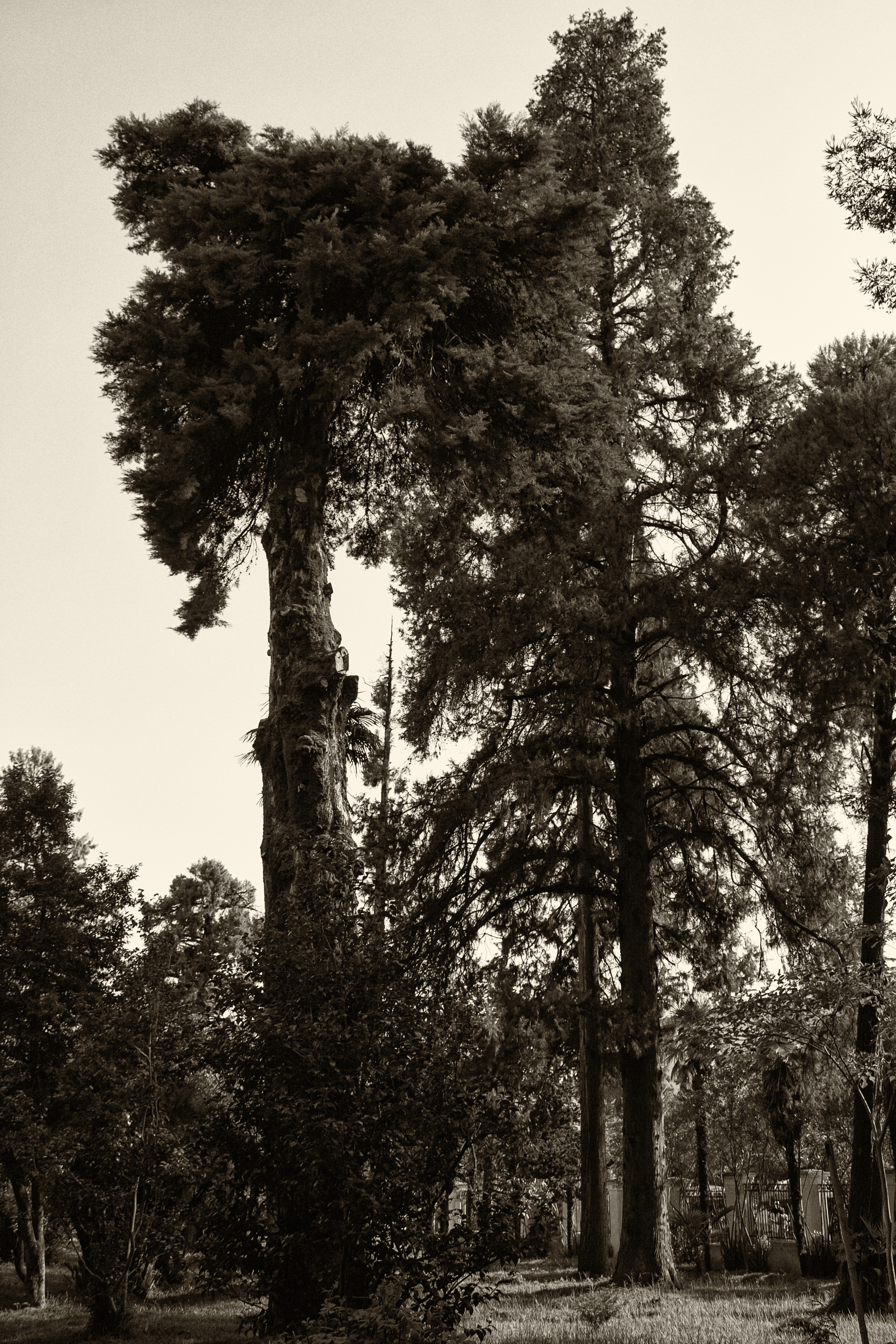 Абхазия. Фотограф и ретушер Маргарита Павлюк Москва