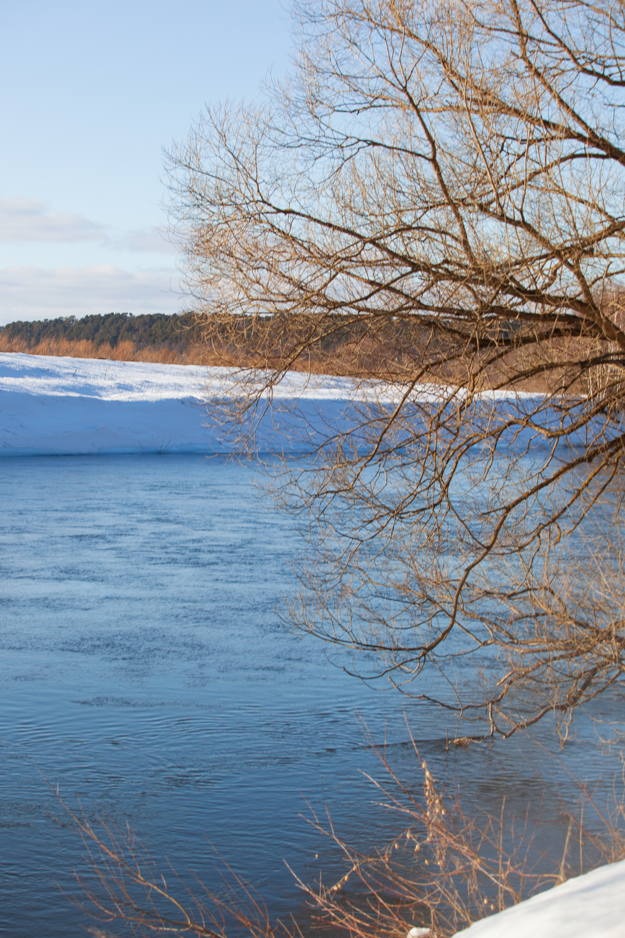 Весна 2022. Фотограф и ретушер Маргарита Павлюк Москва