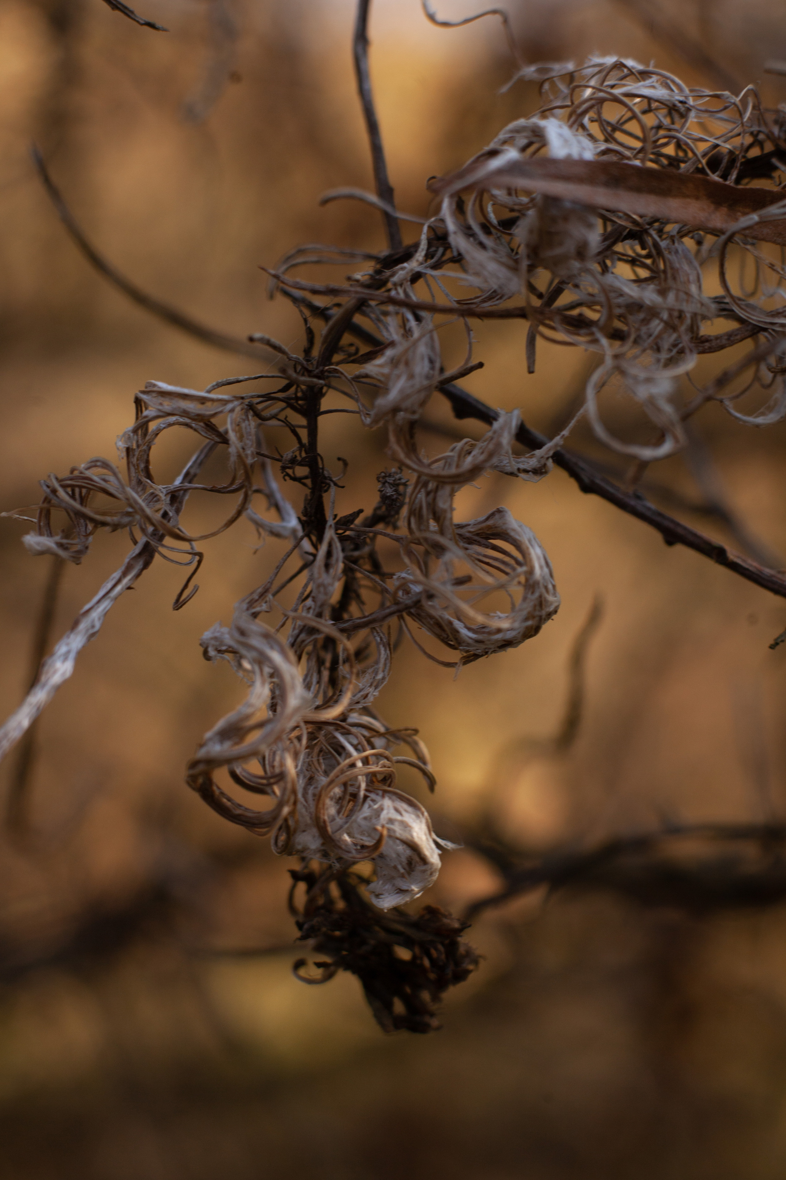 Осень 2021. Фотограф и ретушер Маргарита Павлюк Москва