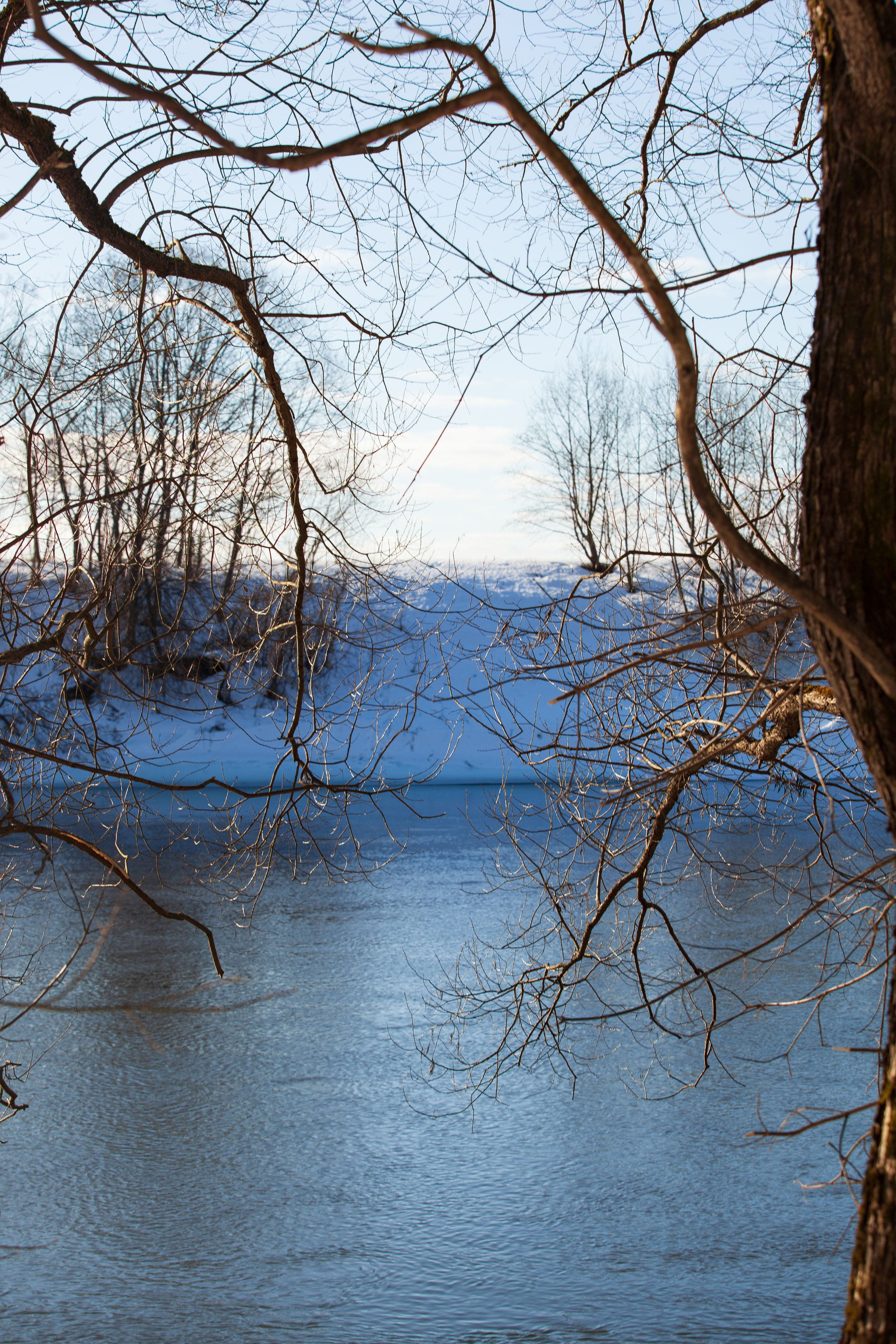Весна 2022. Фотограф и ретушер Маргарита Павлюк Москва