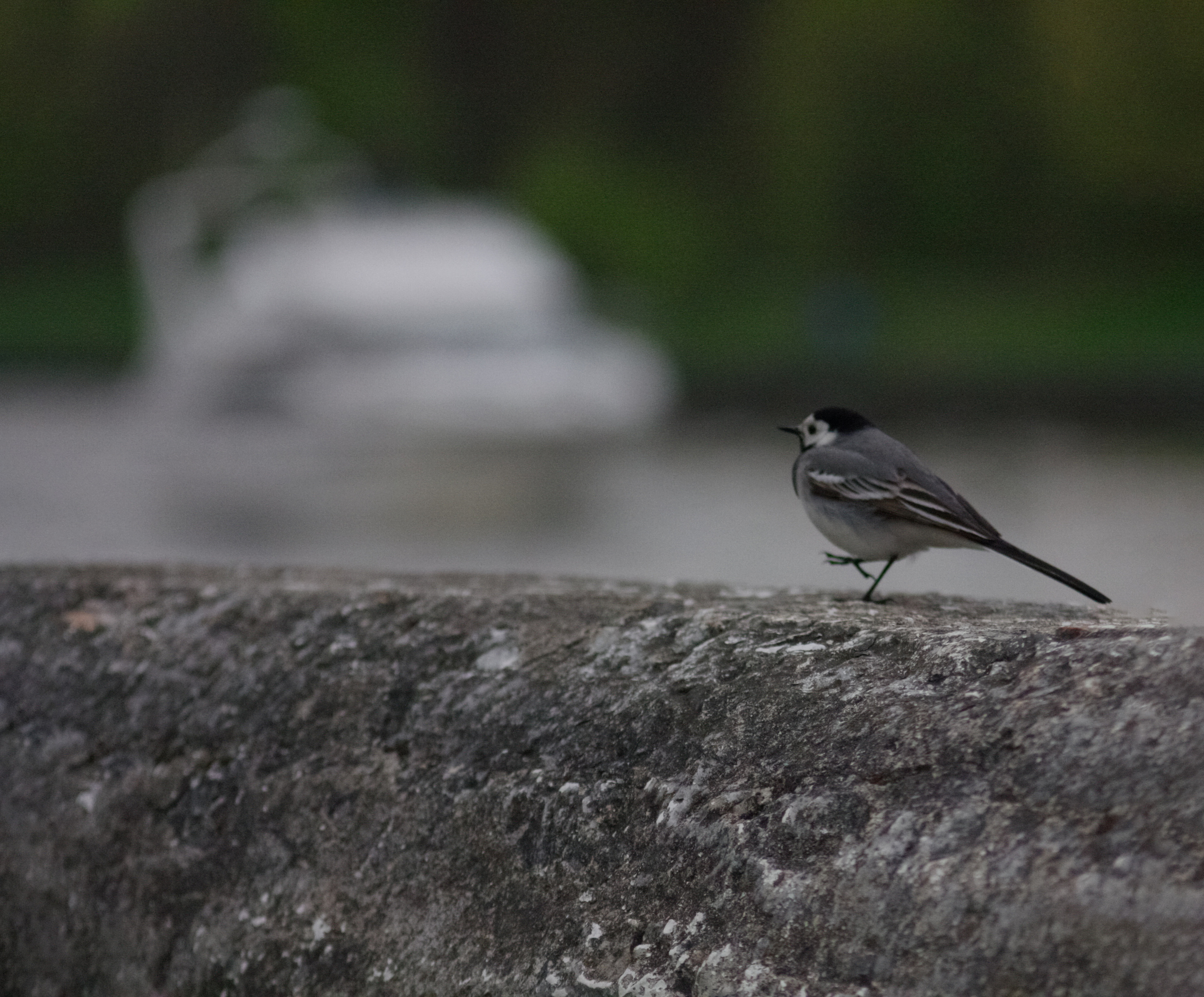 Разное. Фотограф и ретушер Маргарита Павлюк Москва