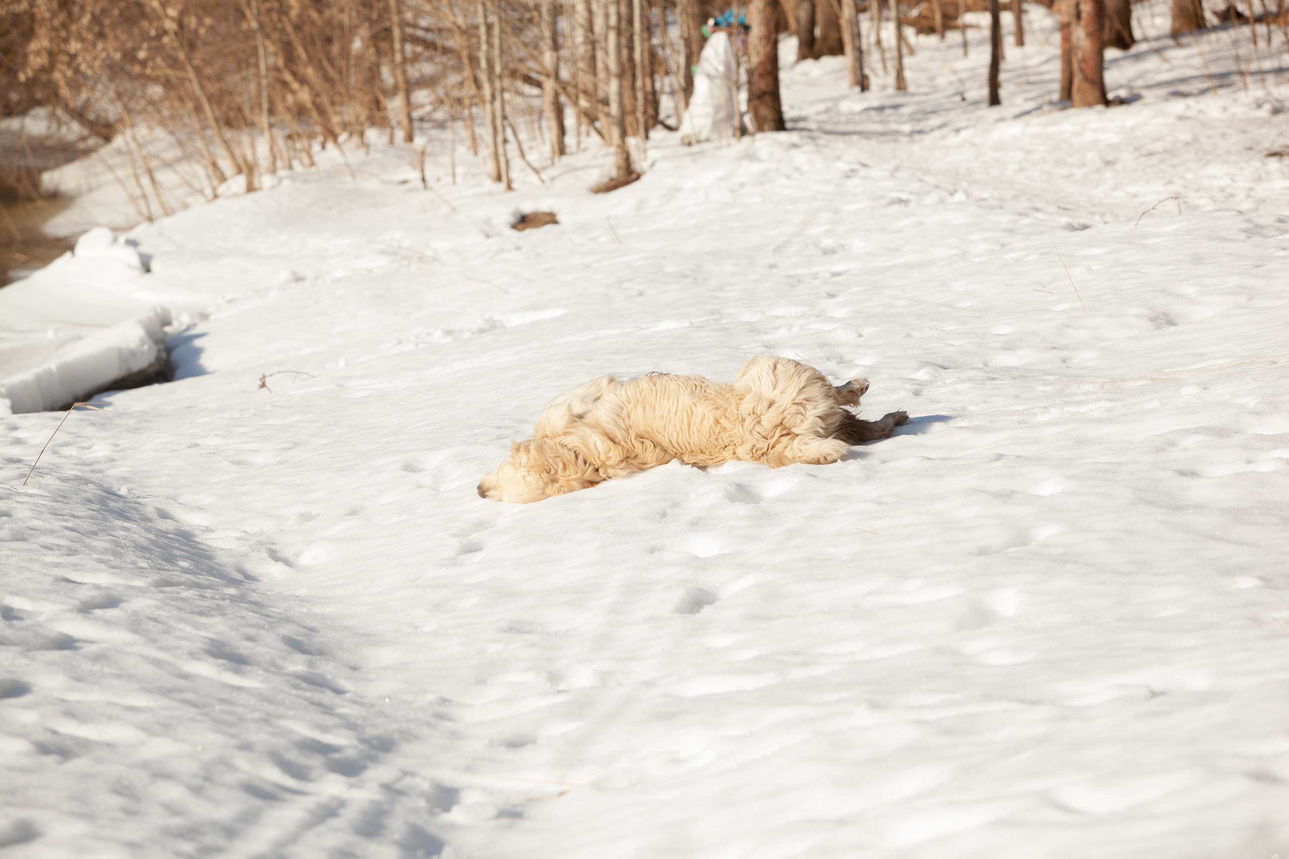Весна 2022. Фотограф и ретушер Маргарита Павлюк Москва