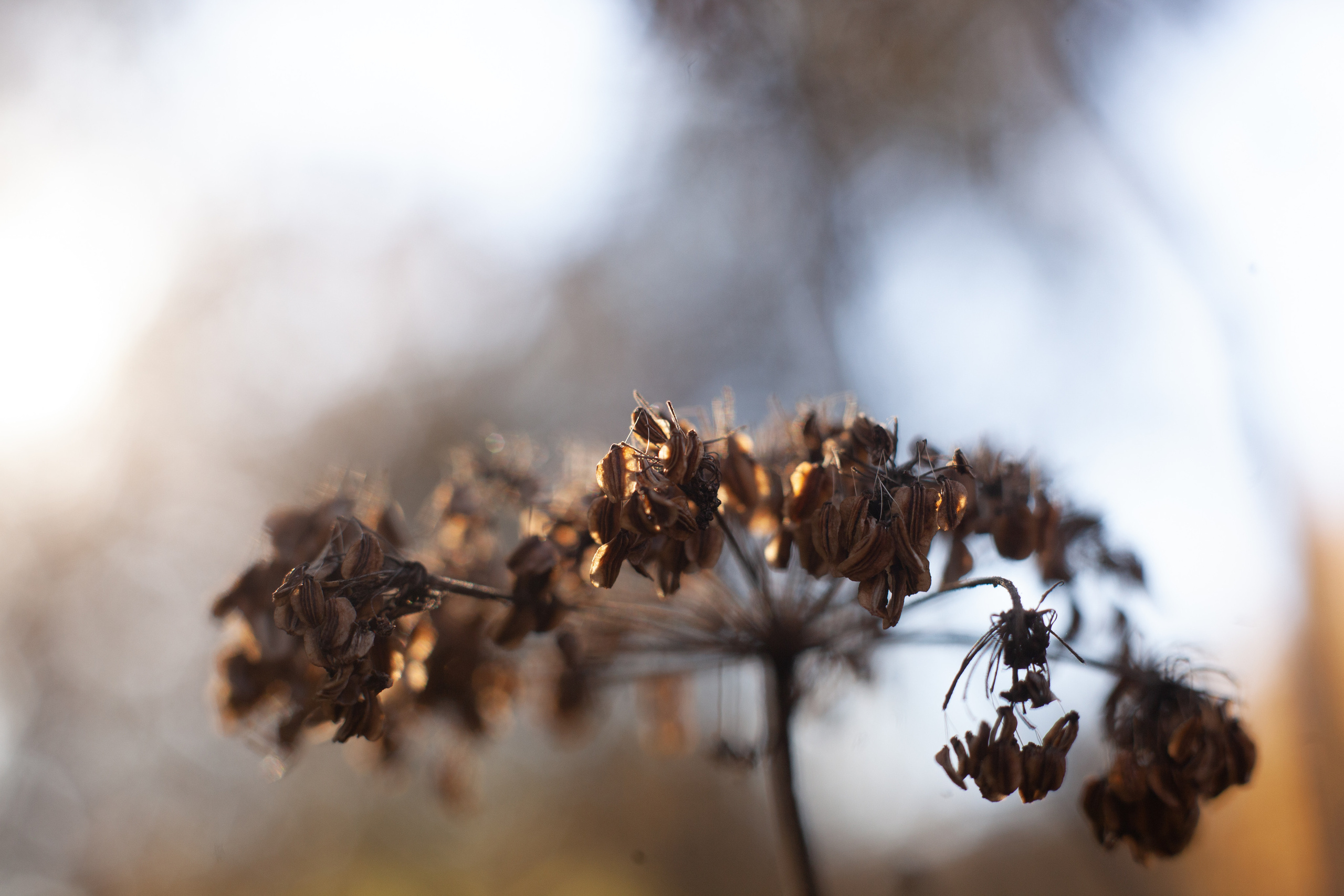 Осень 2021. Фотограф и ретушер Маргарита Павлюк Москва