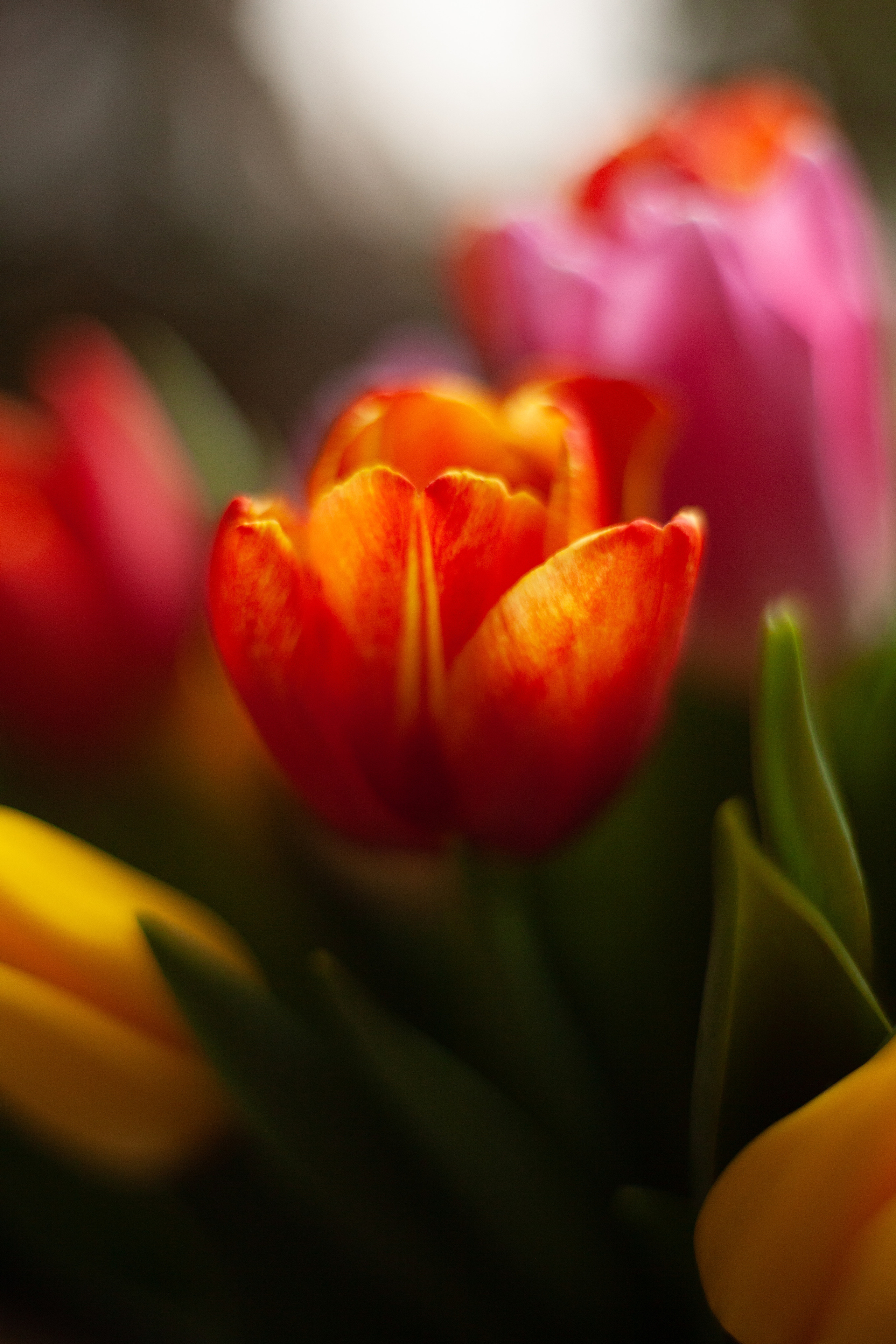 8 марта 2022. Фотограф и ретушер Маргарита Павлюк Москва