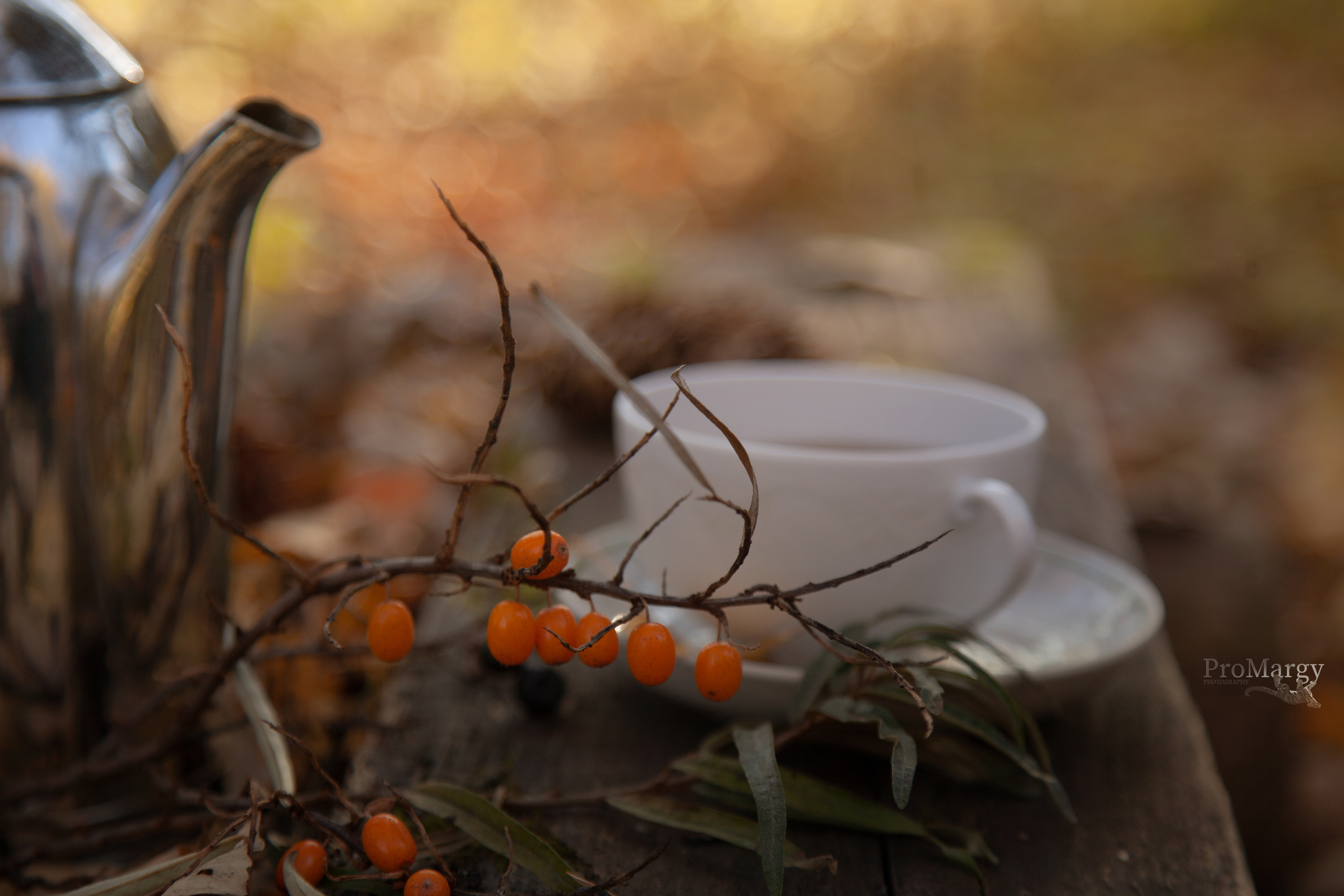 Осень 2021. Фотограф и ретушер Маргарита Павлюк Москва