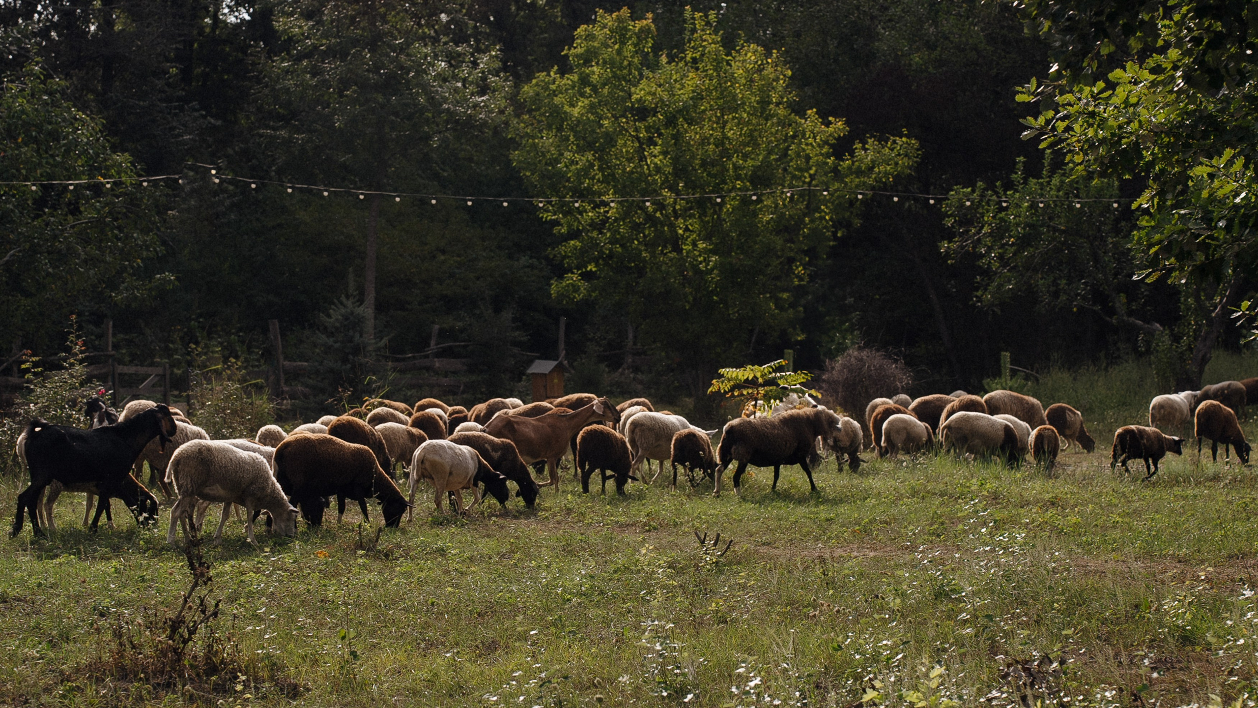 Глоток воздуха. Свадебный фотограф в Краснодаре и Сочи Винидиктова Екатерина
