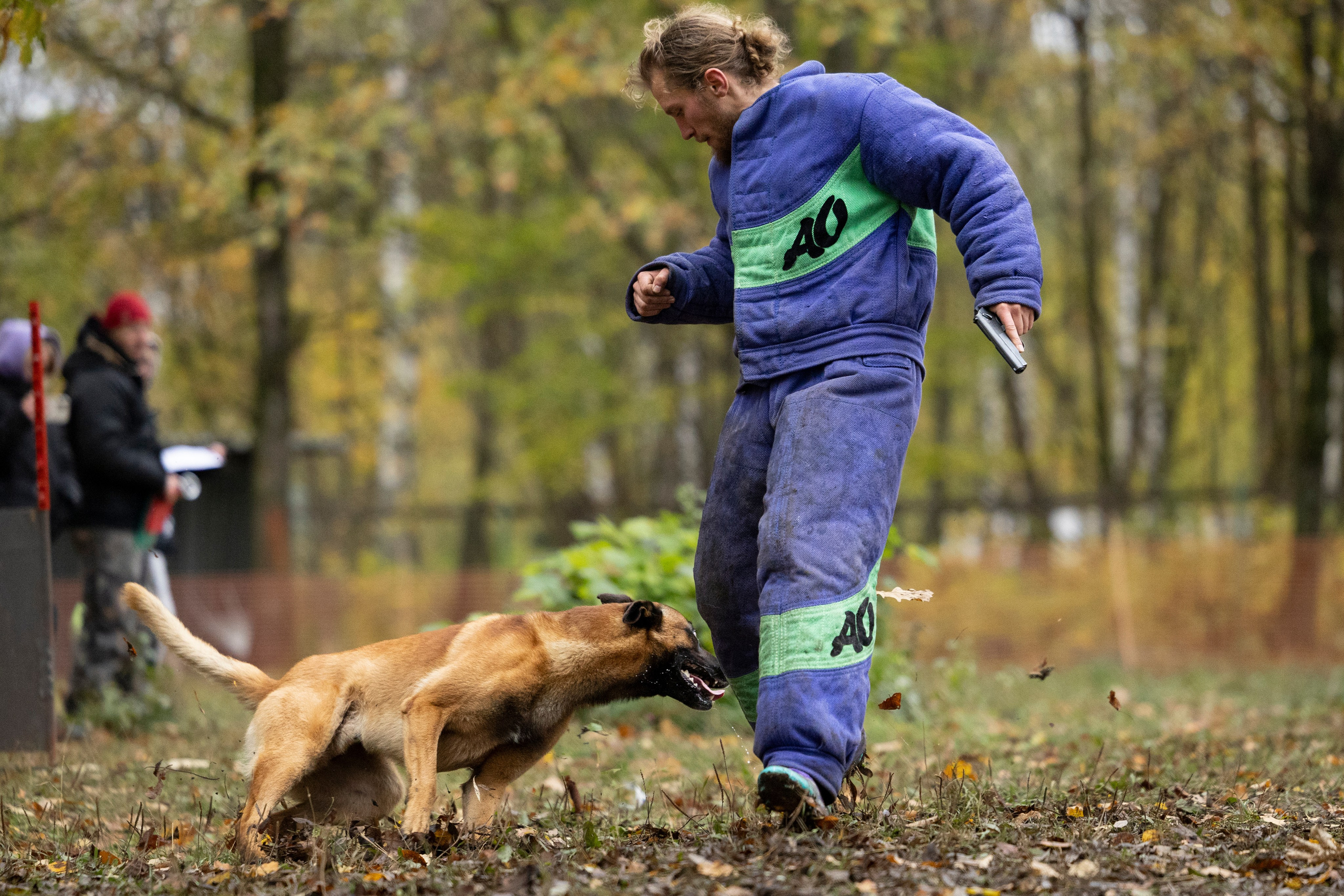 Соревнования по Мондьорингу г. Вологда. Фотограф-анималист Анна Маринич
