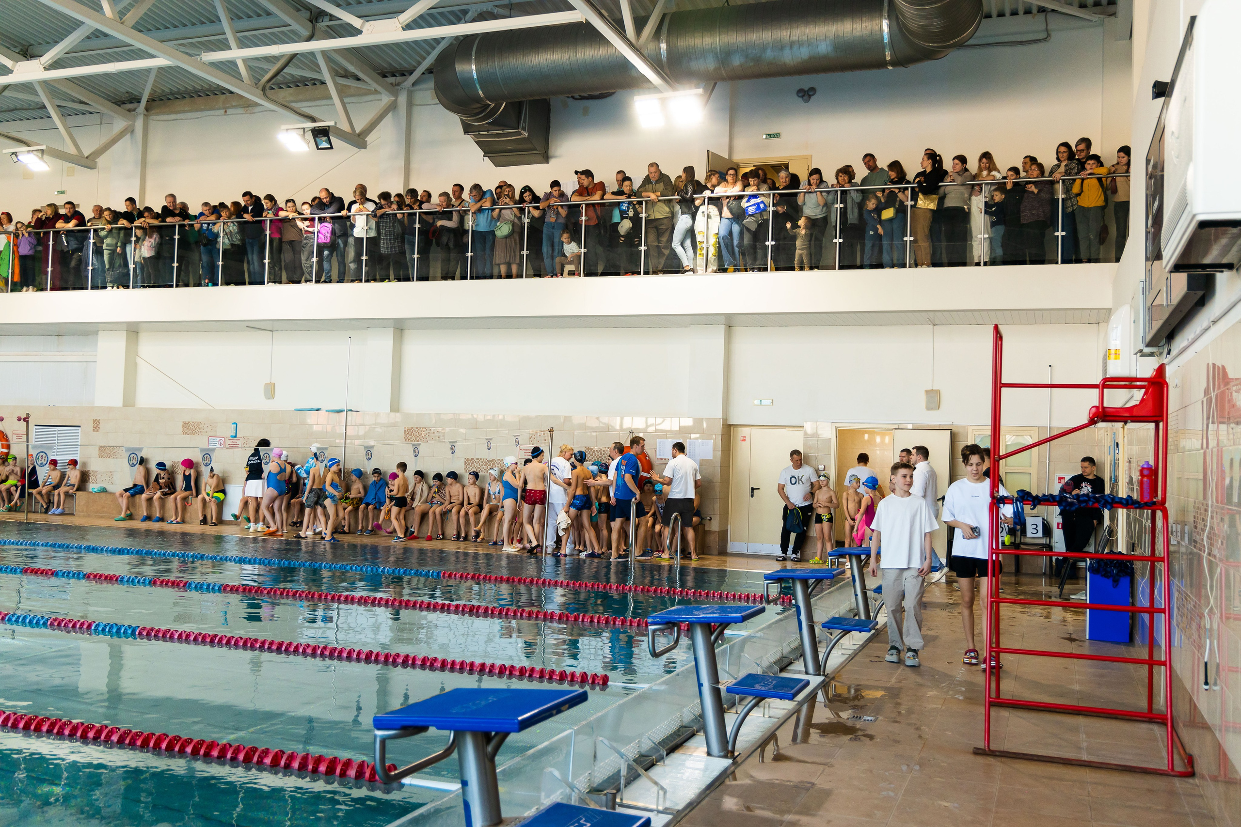 Соревнования по плаванию. Свадебный фотограф в городе Подольск МО и Москва Крылова Ирина