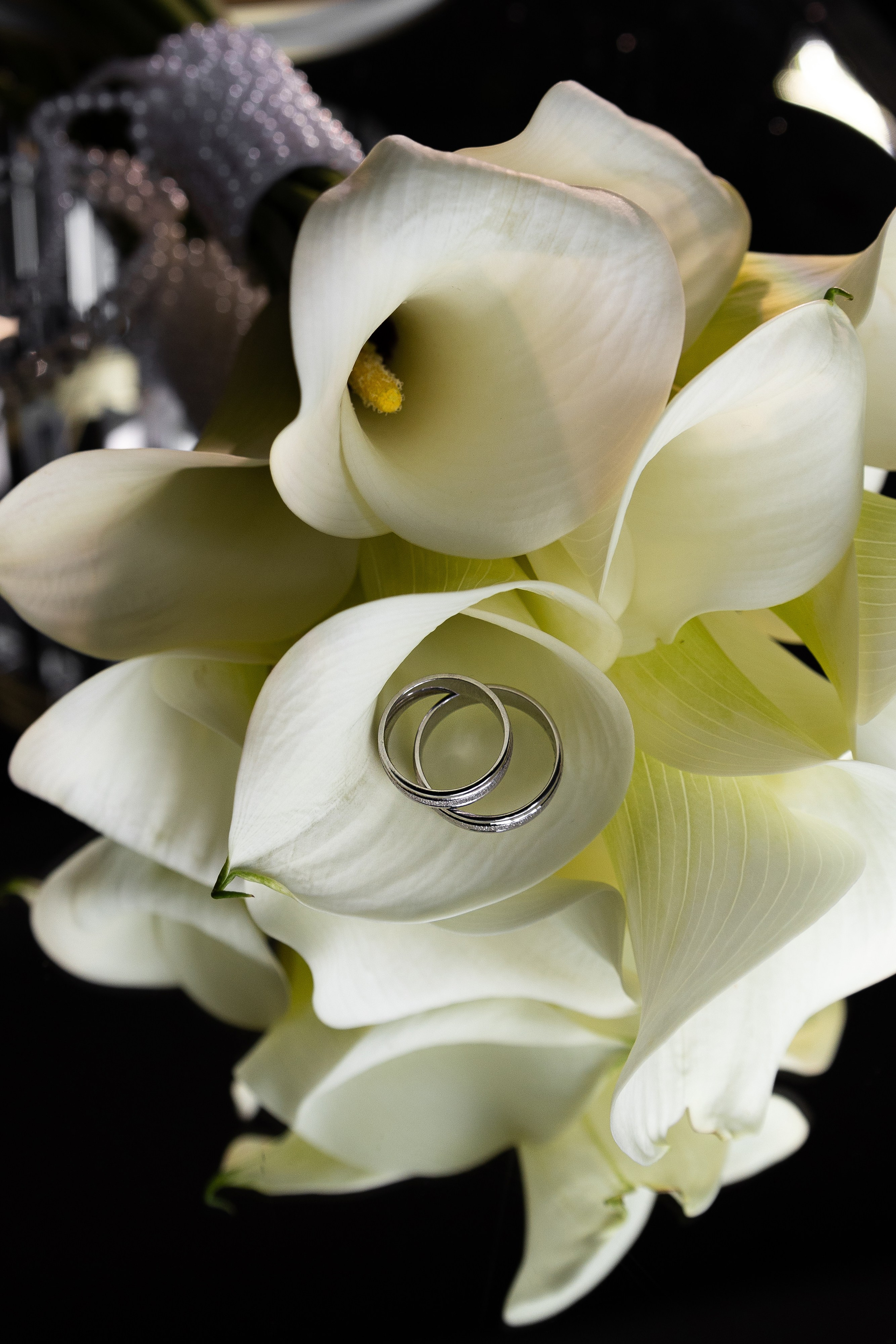 11.07.25 Андрей & Евгения. Свадебный и семейный фотограф в Новосибирске Дарья Кель