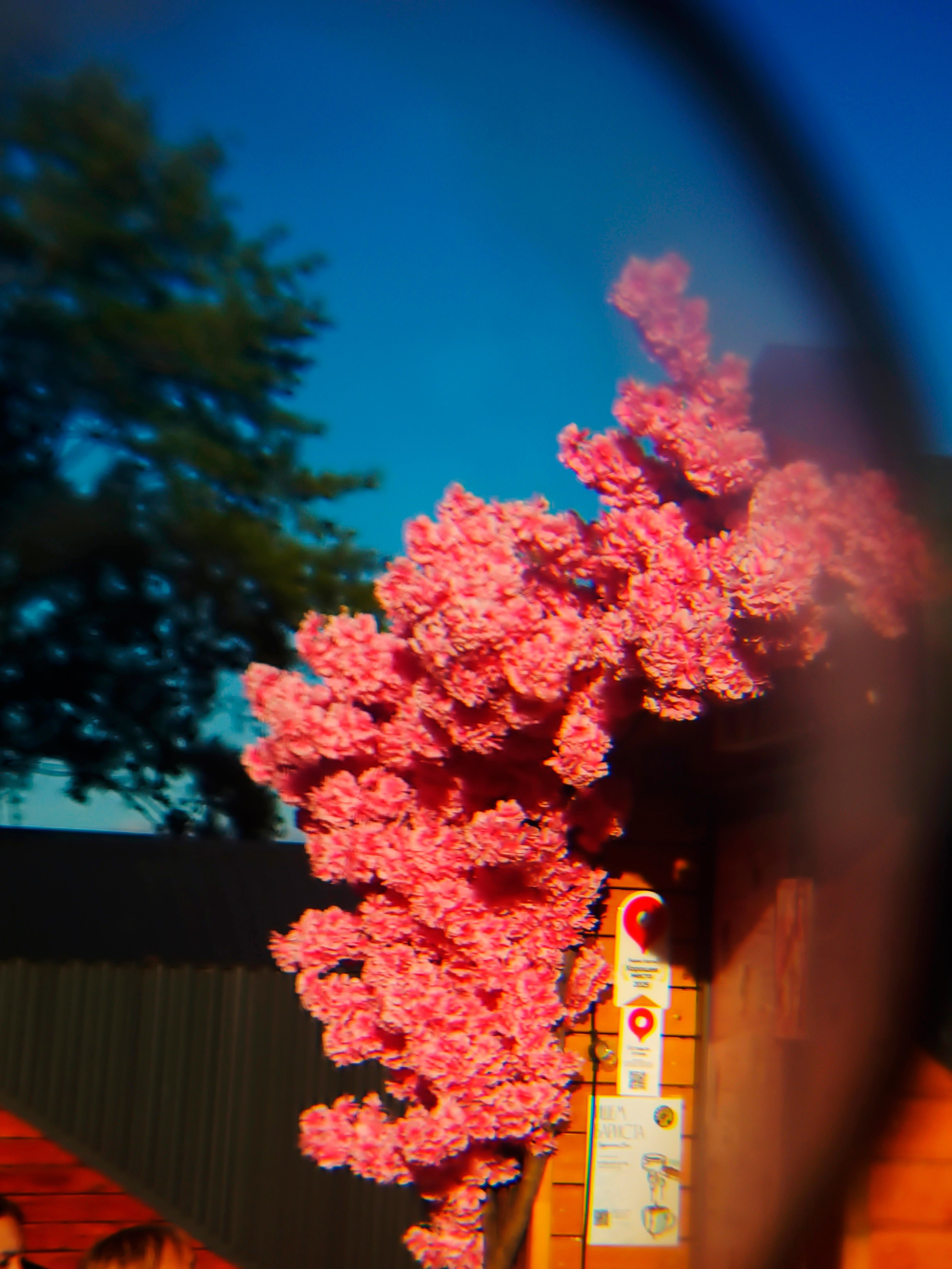 Август 2025. Den Mirov — Фотограф, Музыкант