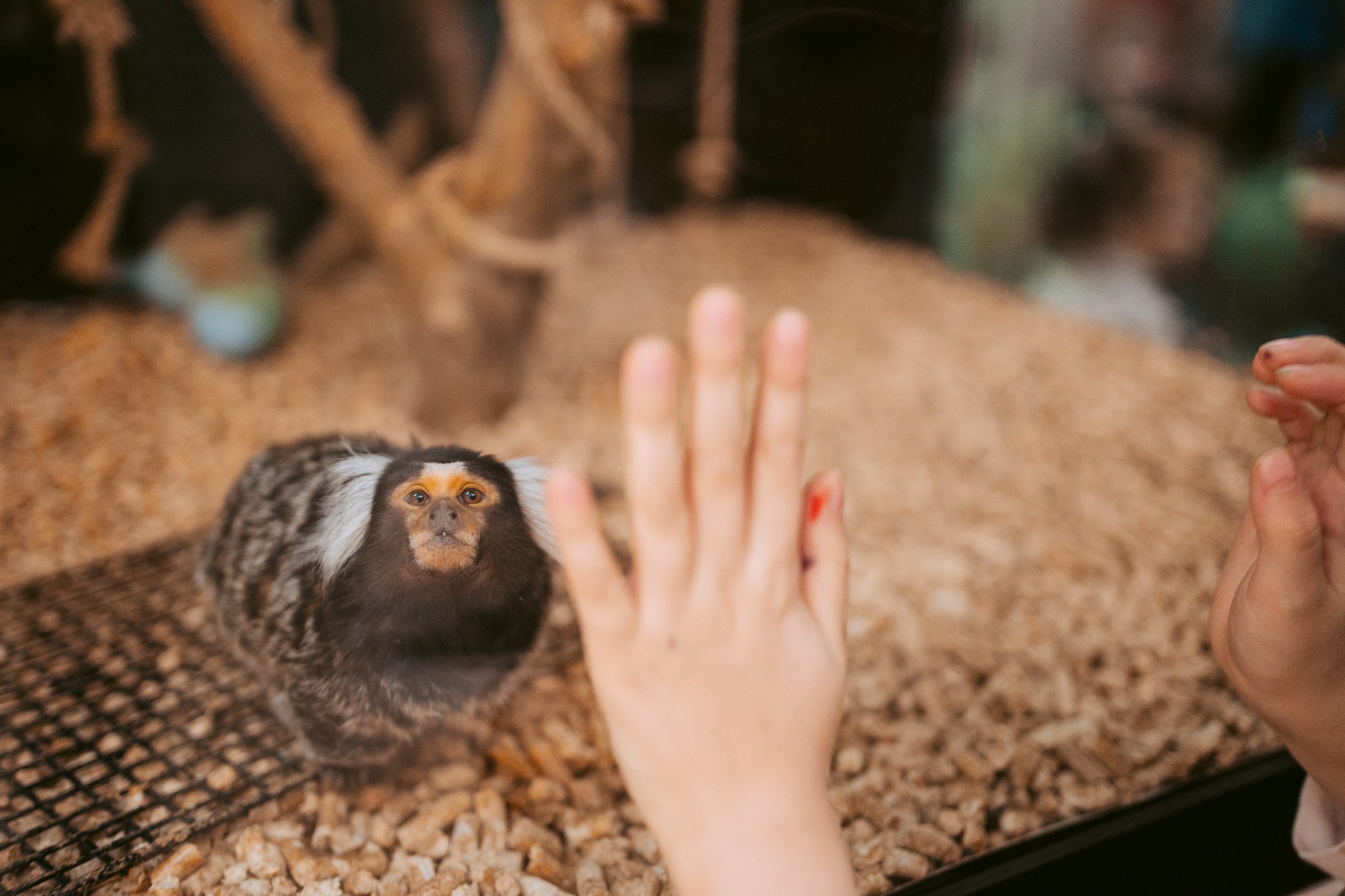 Ночь искусств 2023. Фотограф на любое событие в Кемерово