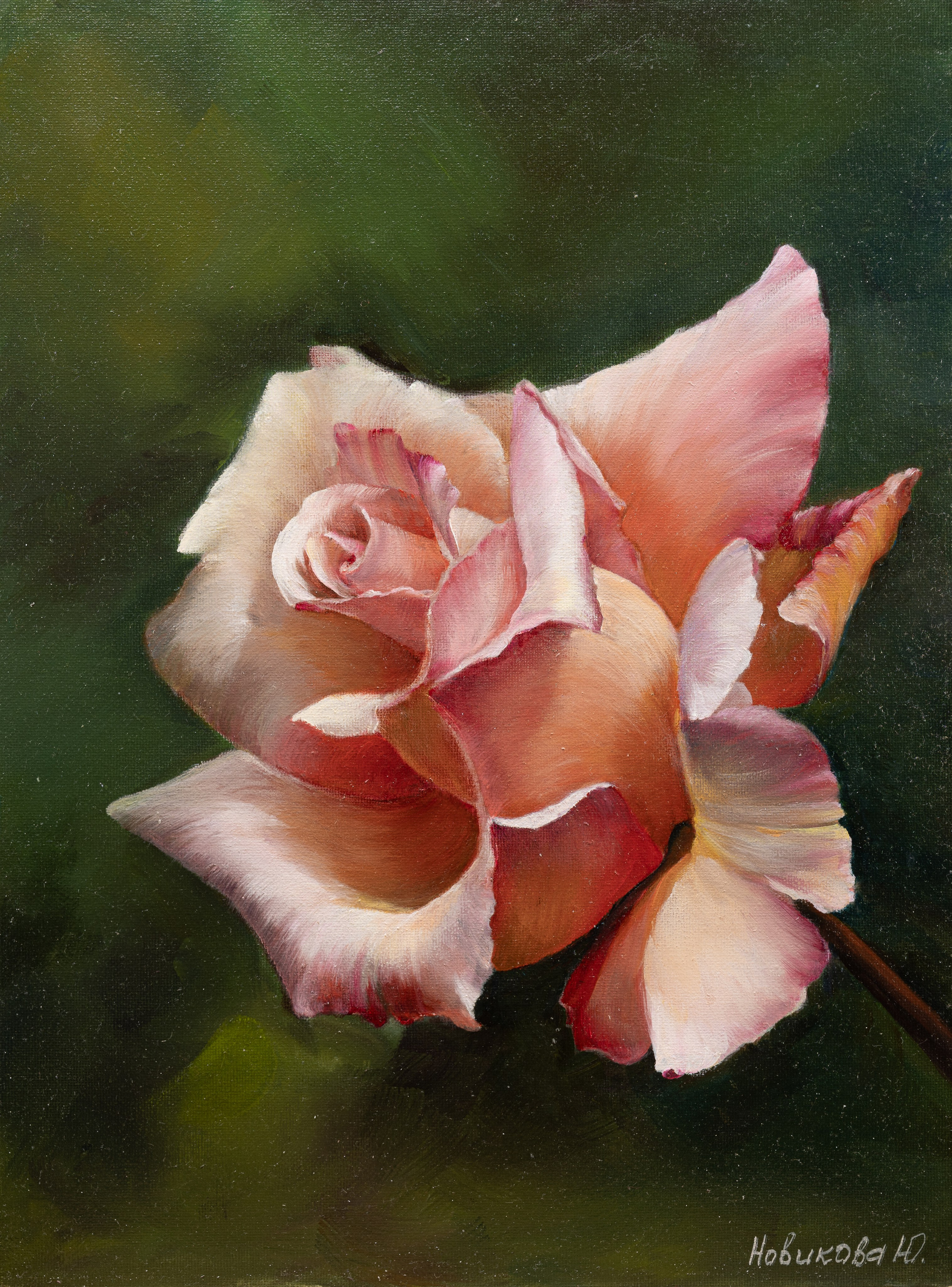 Юлия Новикова. Картины. Фотограф Андрей Зикеев, фотостудия AzArt Studio в Москве