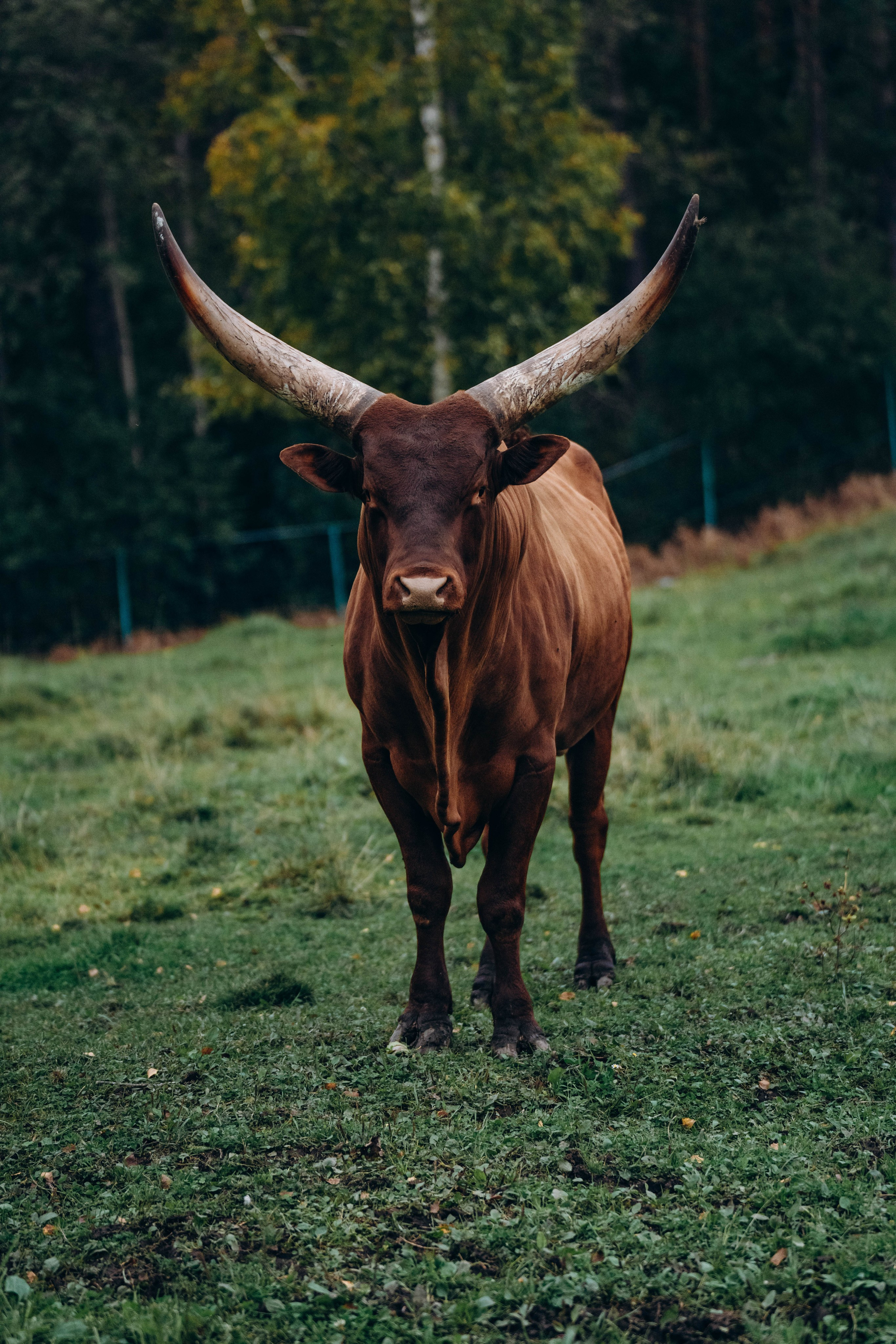 СЕВЕР. Event фотограф Степанова Александра