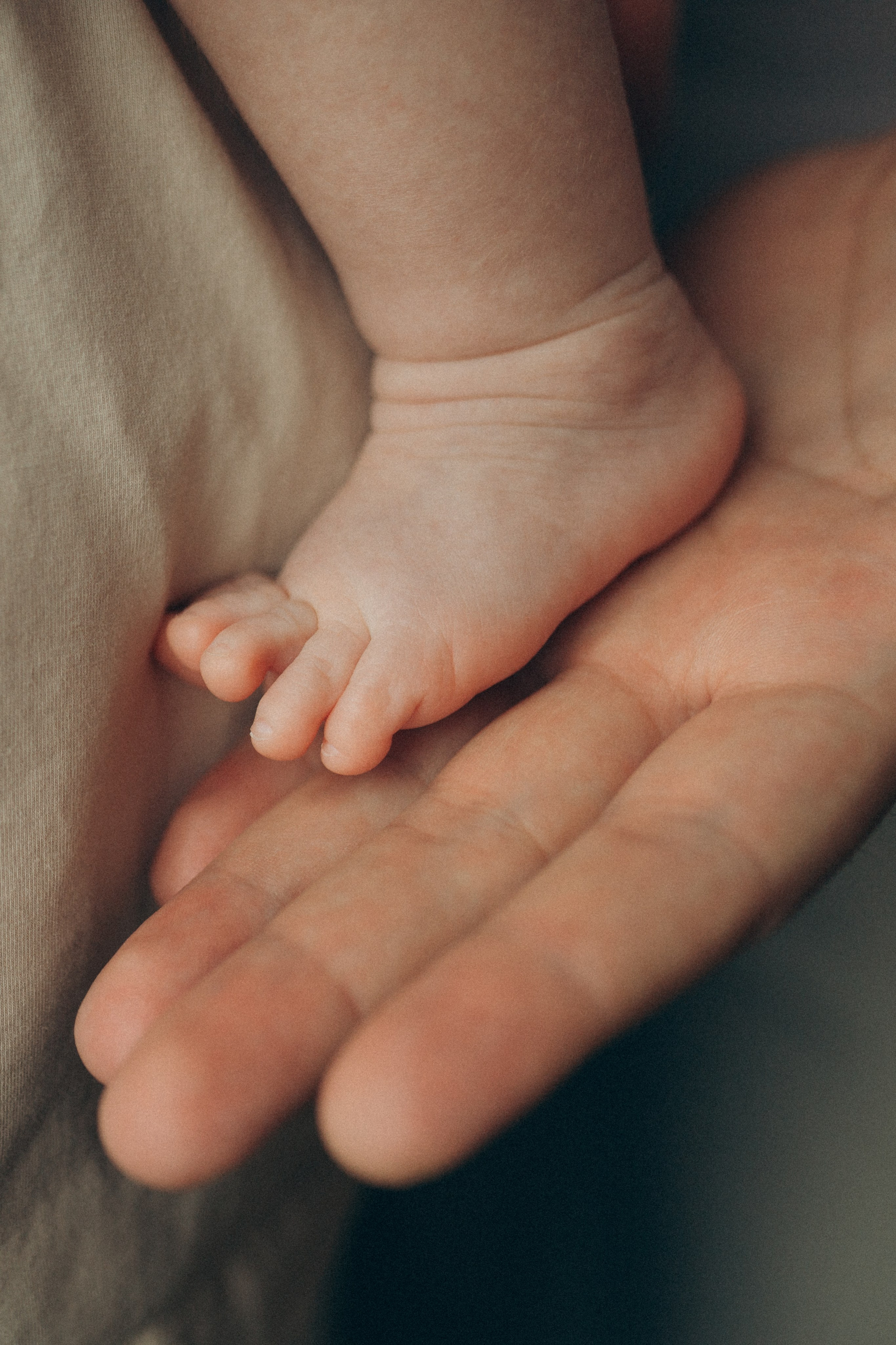 Домашняя. Семейный и детский фотограф в Рязани Екатерина Воронцова