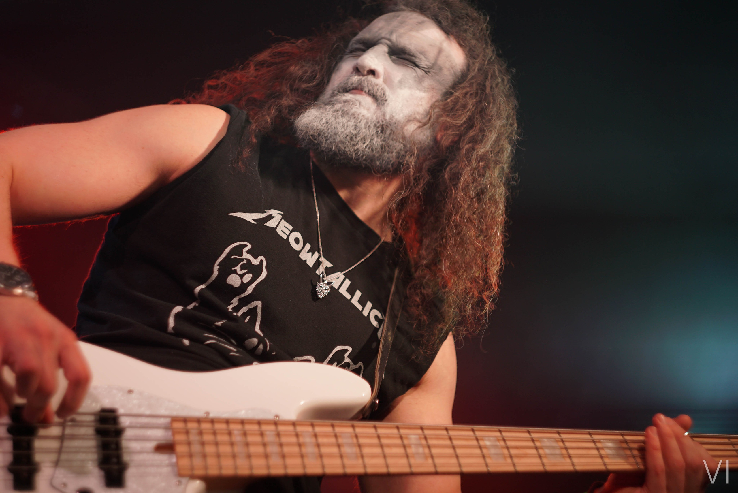 Концертный и репортажный фотограф Воронин Игорь