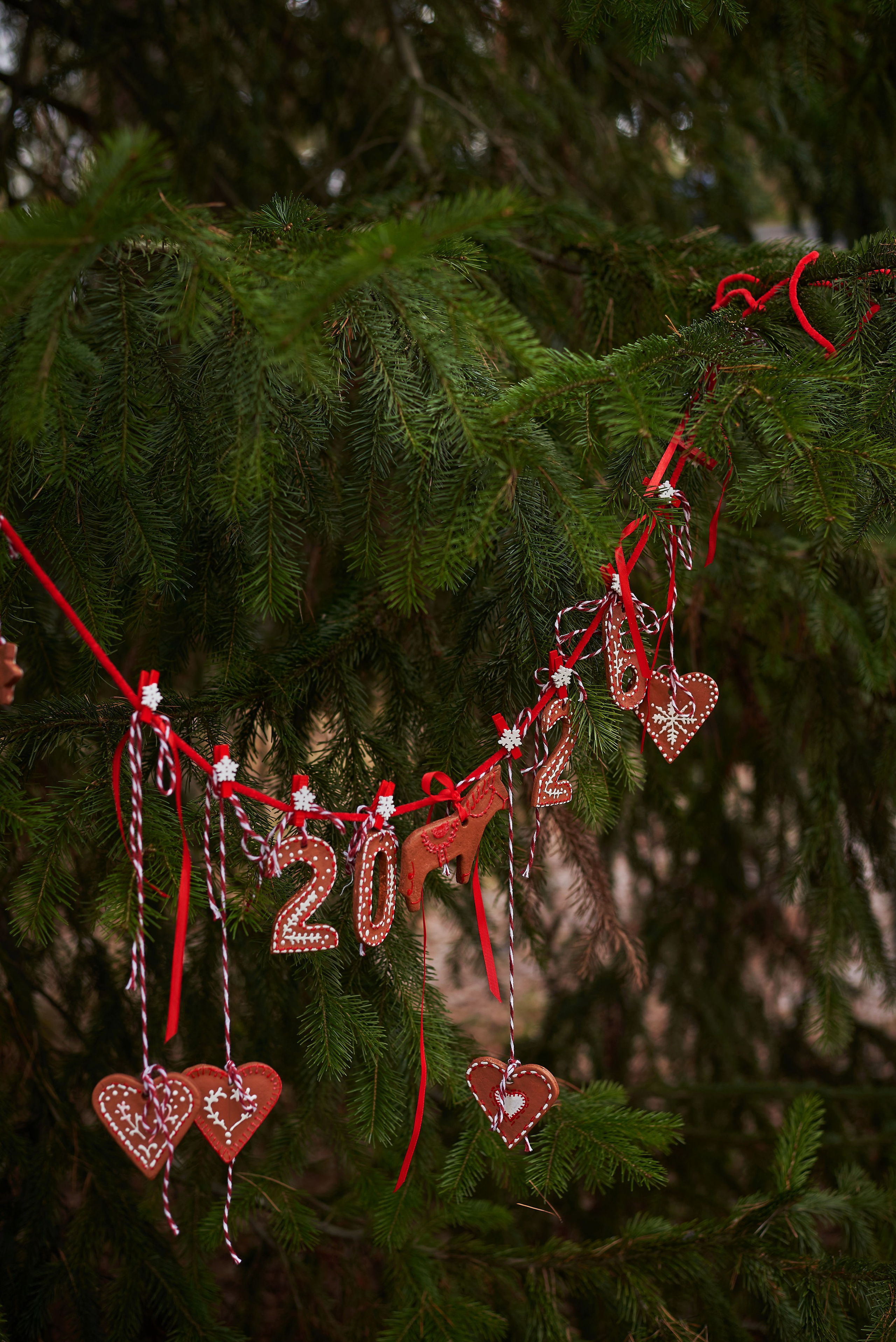 Рождественское волшебство. Семейный фотограф в Барнаул/Горный Алтай, Аренда дома в горах