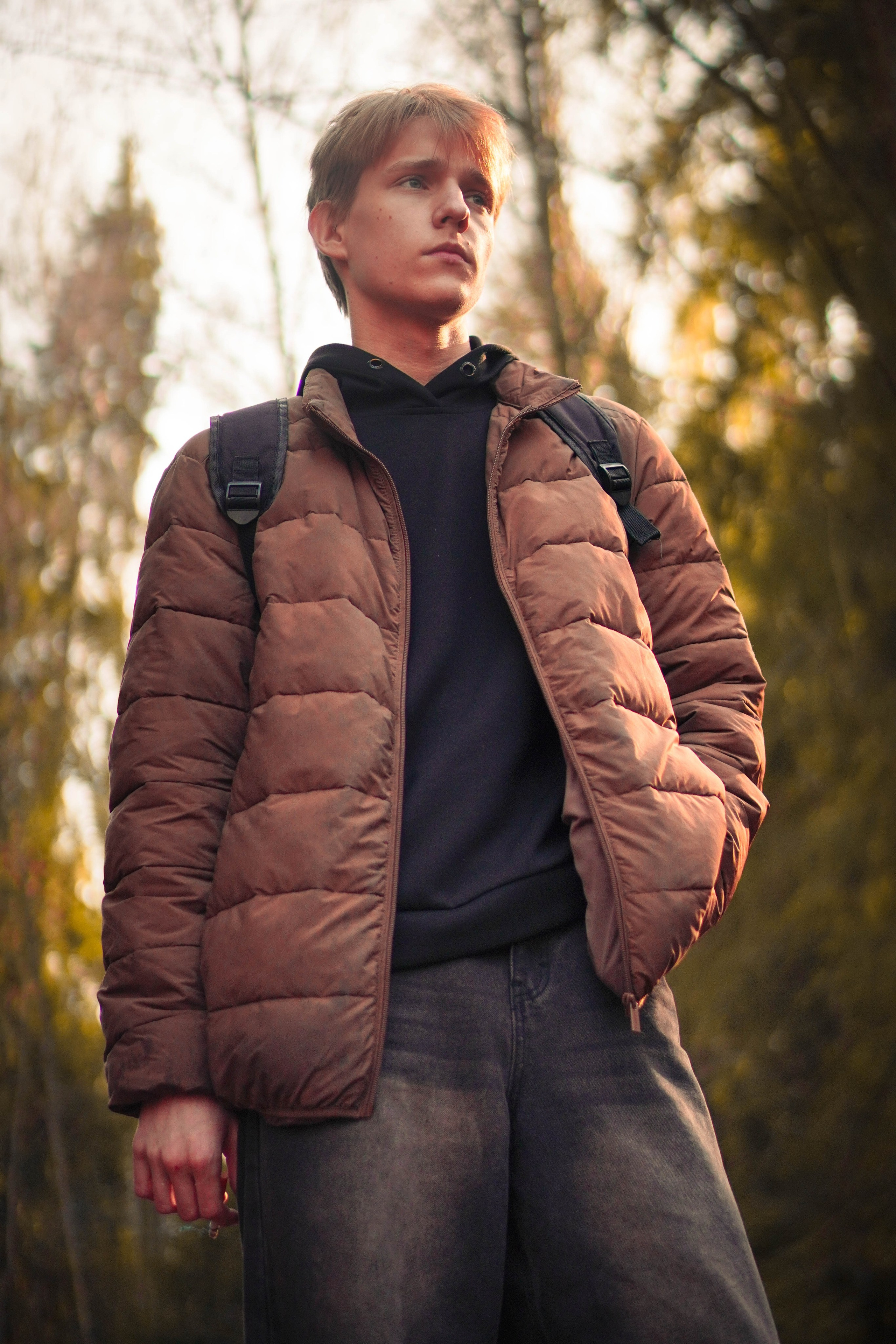 Лев. Видео и Фото