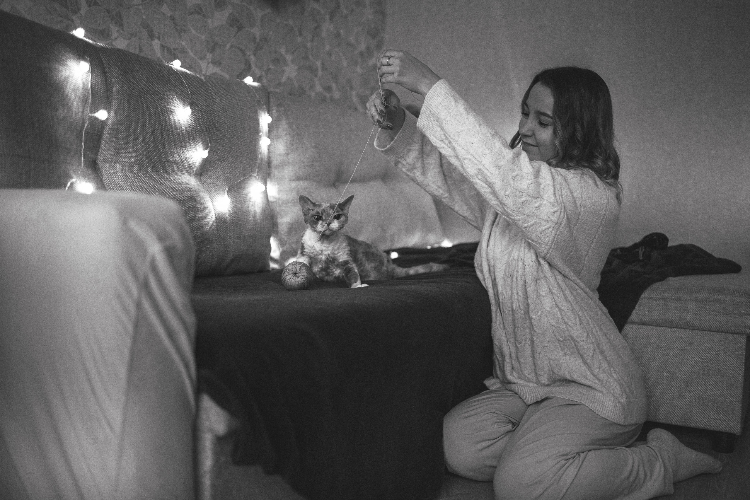 Домашняя новогодняя. Фотограф Анималист в Москве Анастасия Жучкова