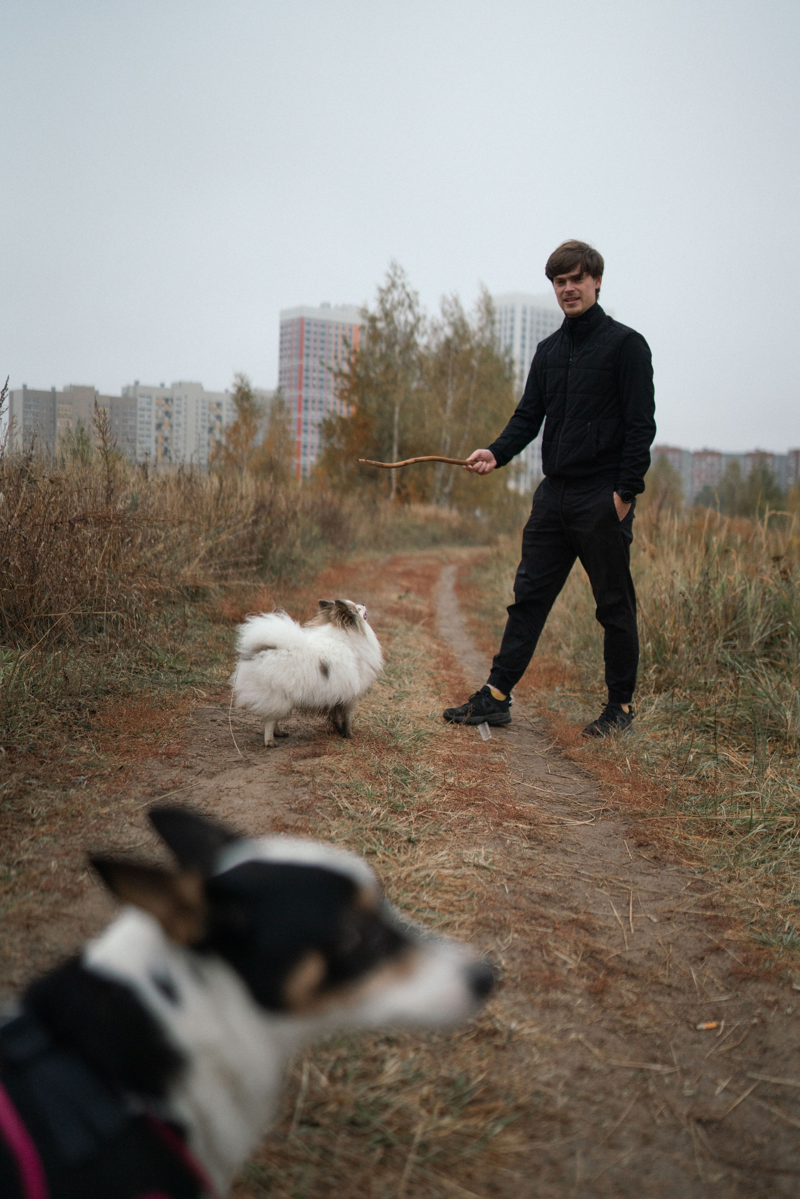 Фотосессия с собаками. Семейный фотограф в Рязани и Москве Victoria_Kros