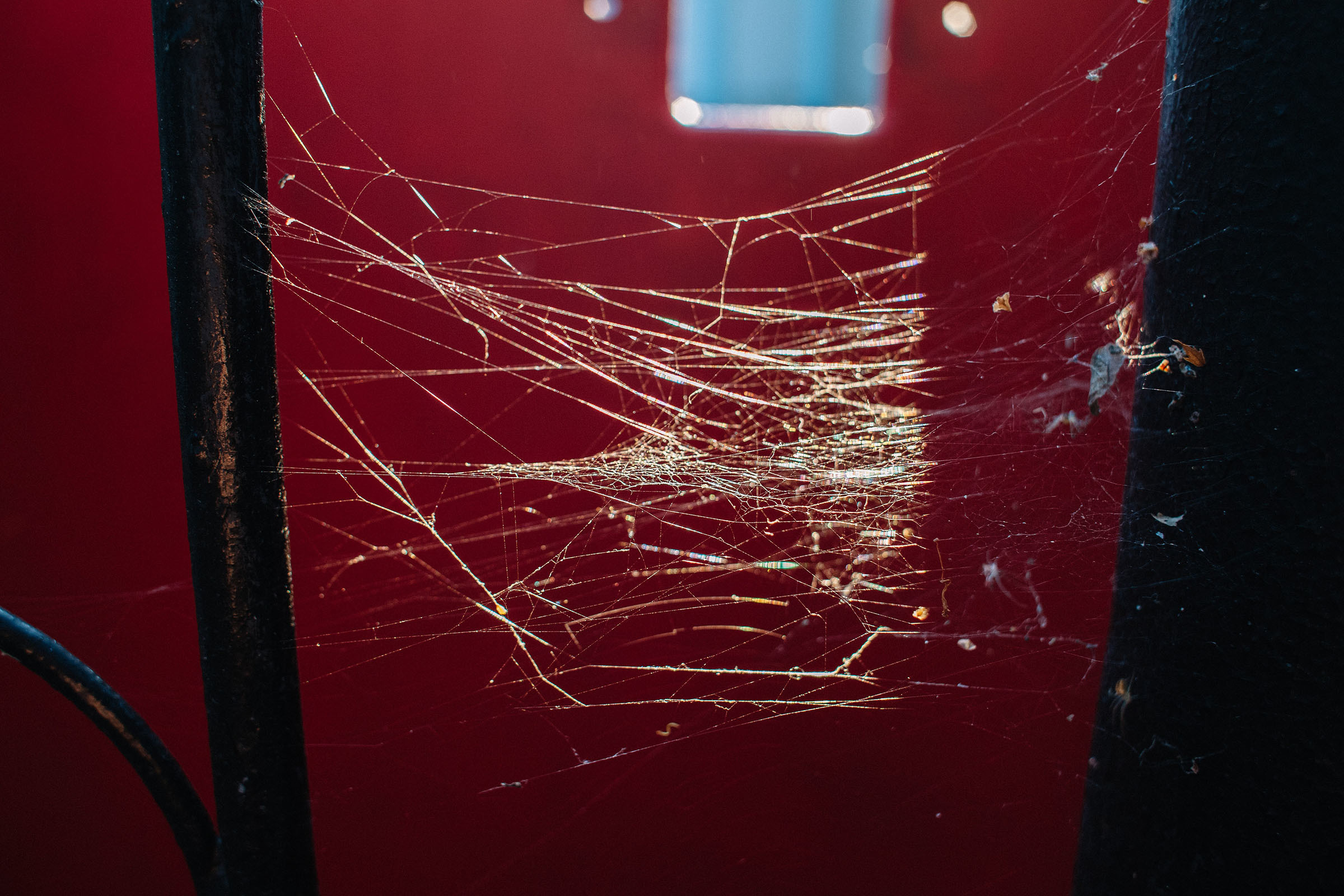 21.07.2019. Семейный и свадебный фотограф в Майкопе Михаил Мартиросян