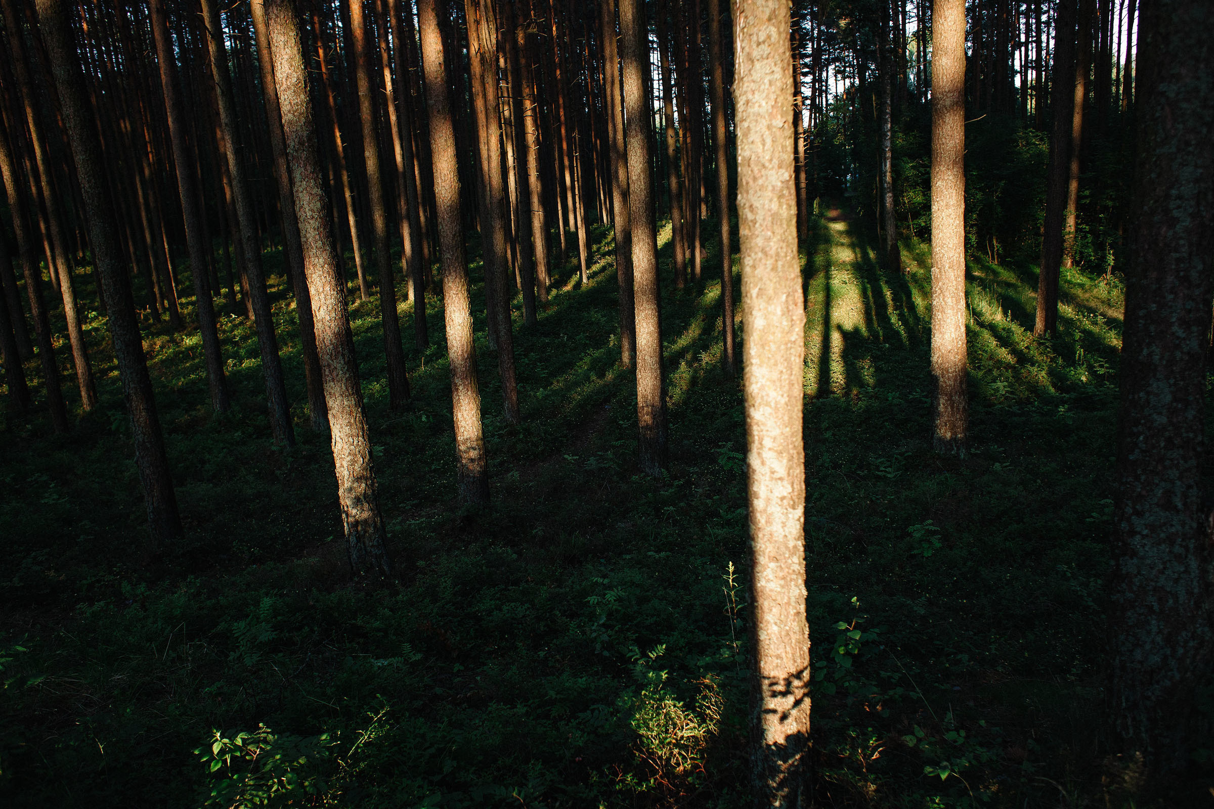 21.07.2019. Семейный и свадебный фотограф в Майкопе Михаил Мартиросян
