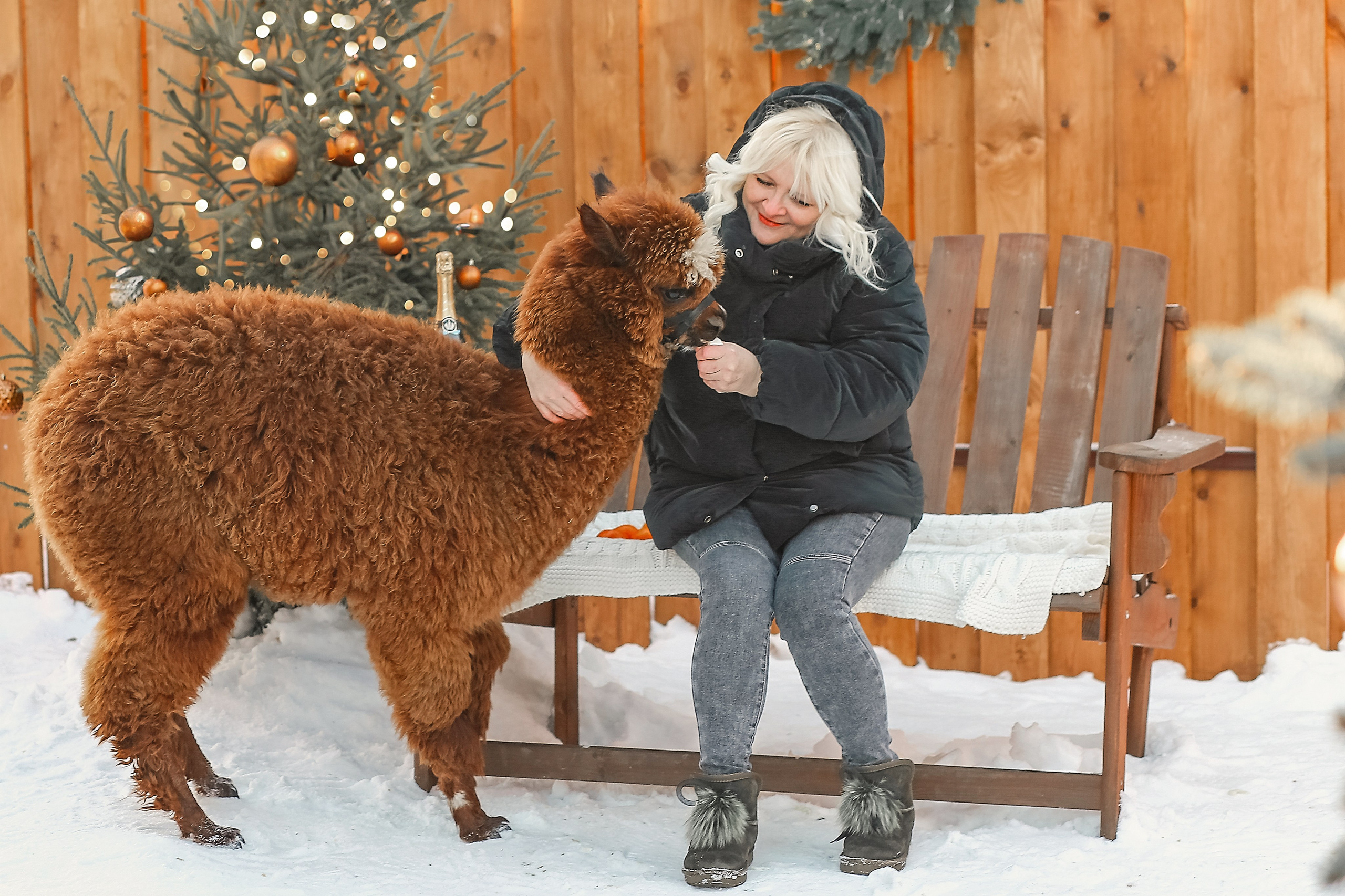 Семейная съемка с Альпакой!. Иванова Ирина Свадебный и семейный фотограф г. Уфа
