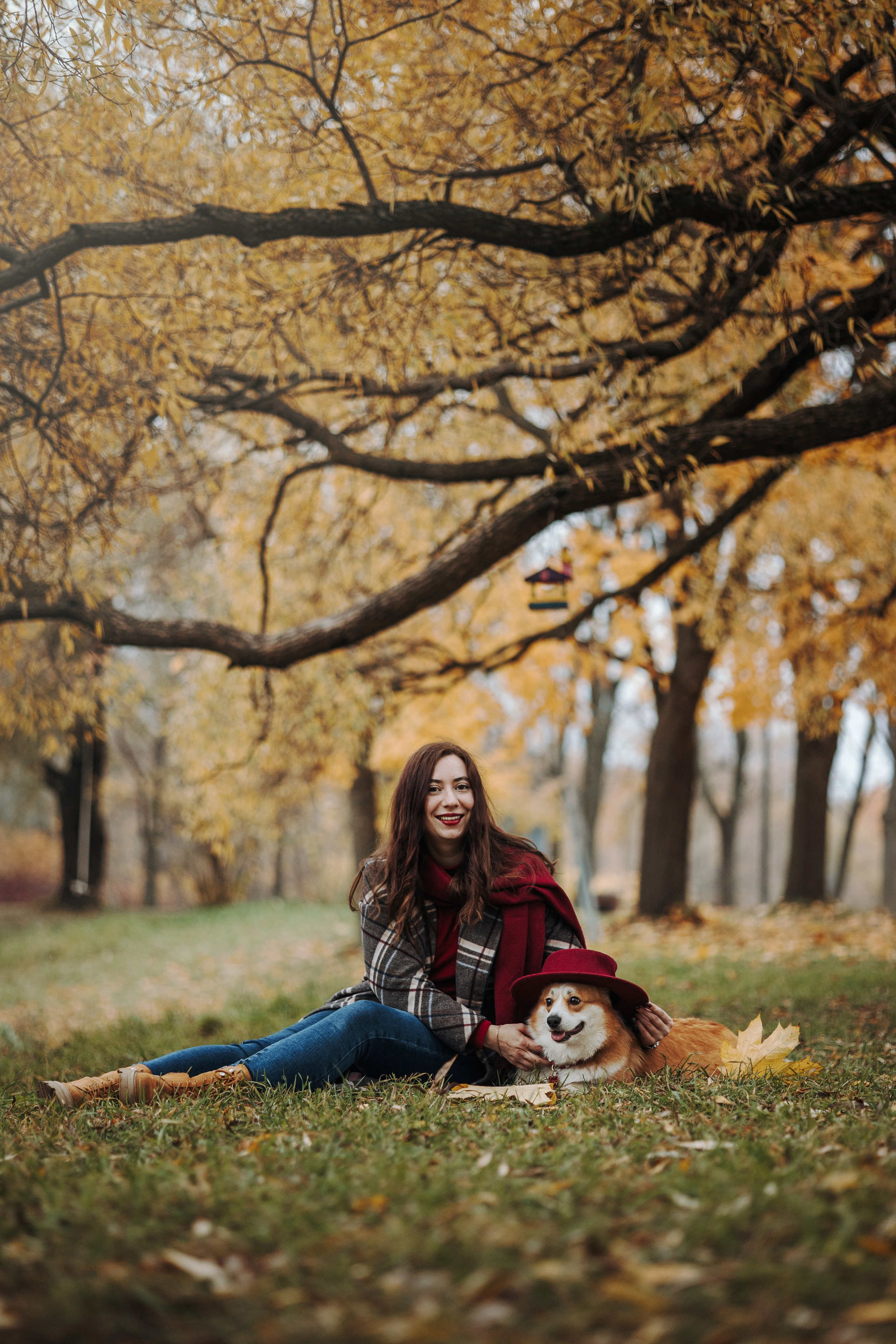 Юля и Терри. Фотограф — Анималист | Санкт-Петербург