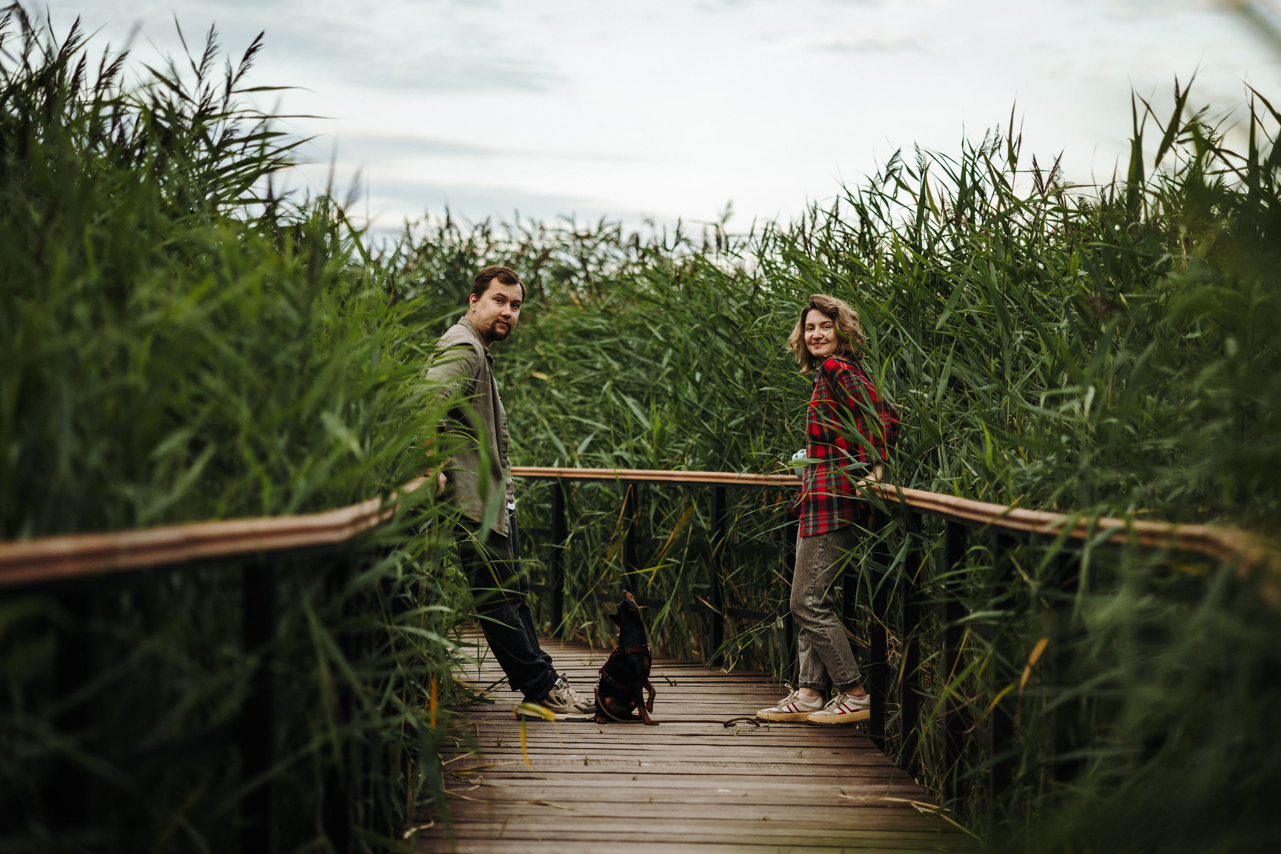 Сириус и его семья. Фотограф — Анималист | Санкт-Петербург