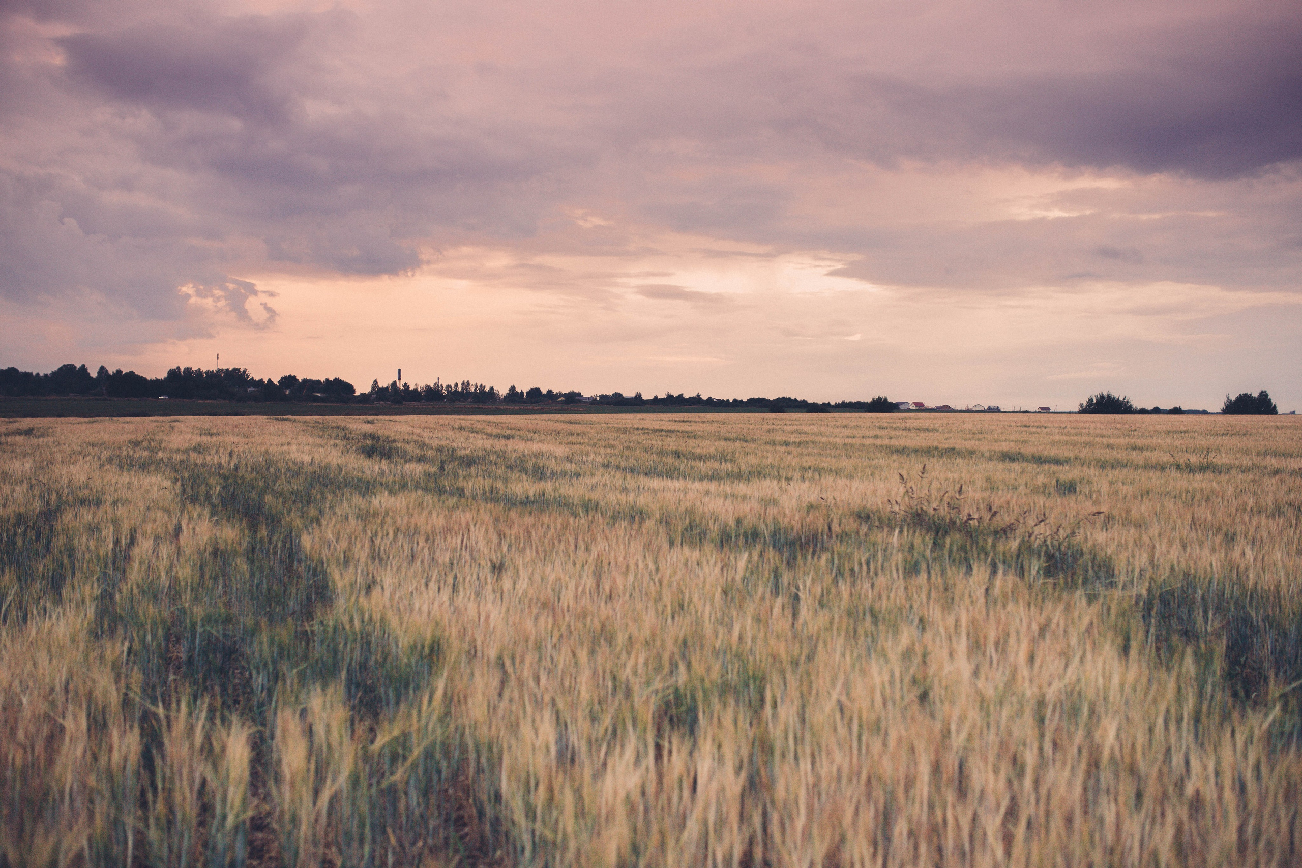 Фотограф Ярославль