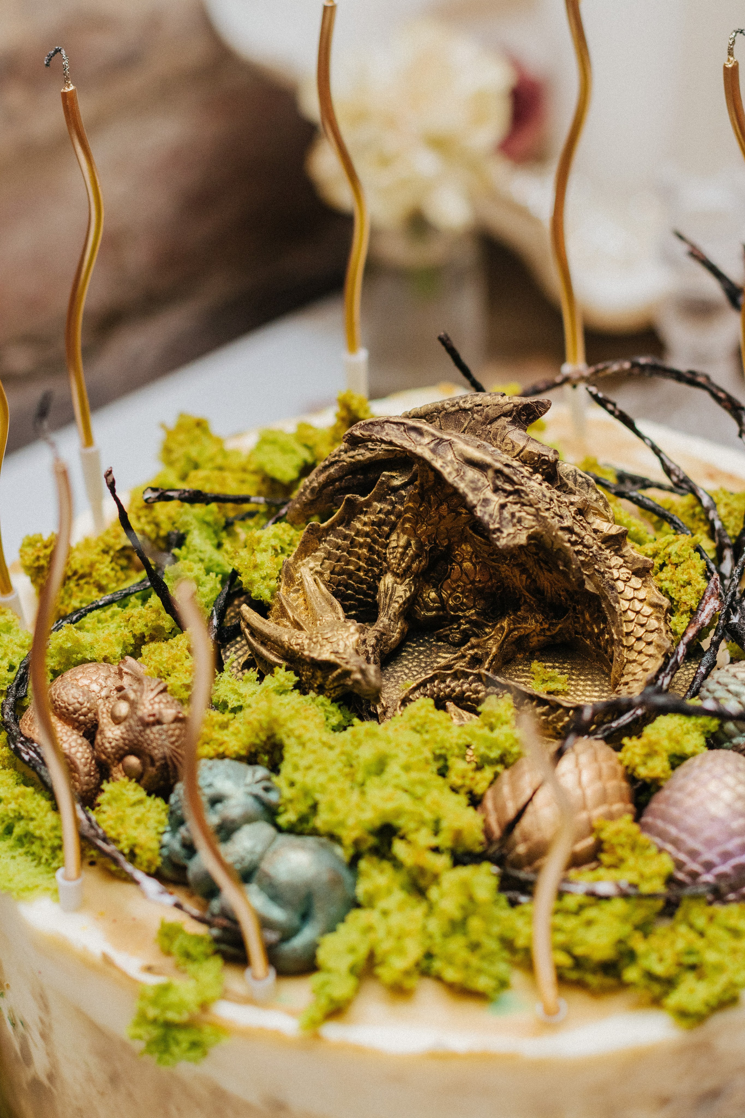 Корпоративы // Дни рождения. Коммерческий фотограф в Санкт-Петербурге (СПб) Екатерина Панчёха, Панчёшка