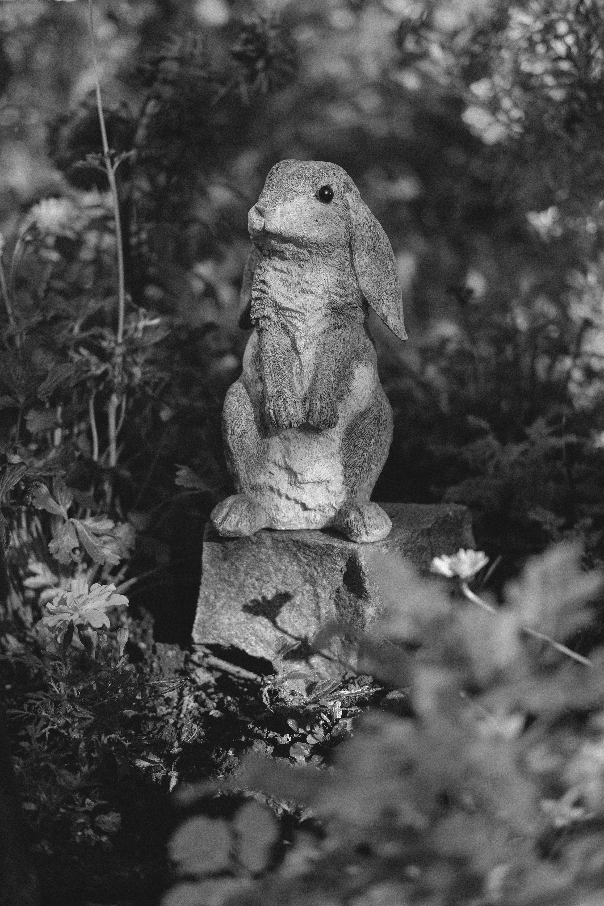 Жизнь сада. Works