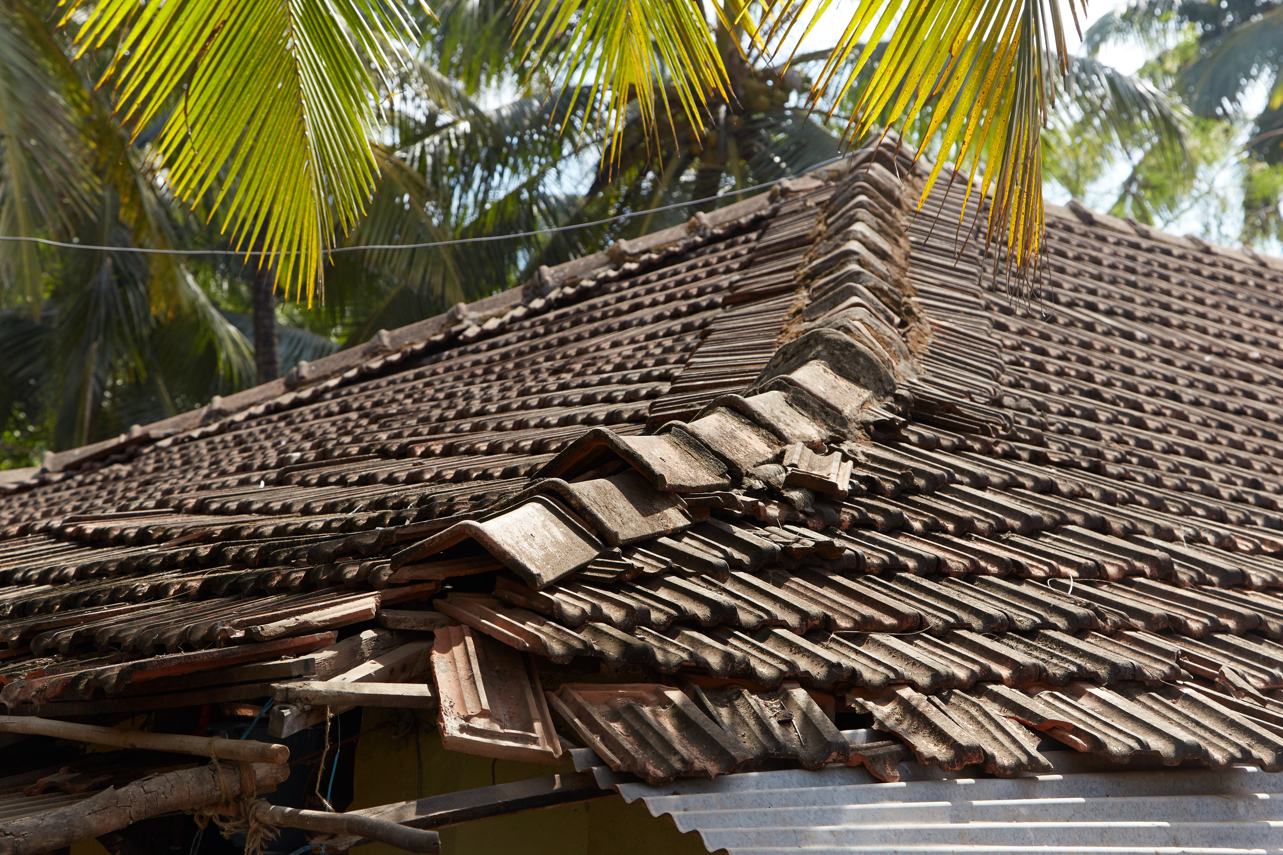 Индия. ГОА, Мумбай, Аджента, Аурангобад. Креативный фотограф в Москве