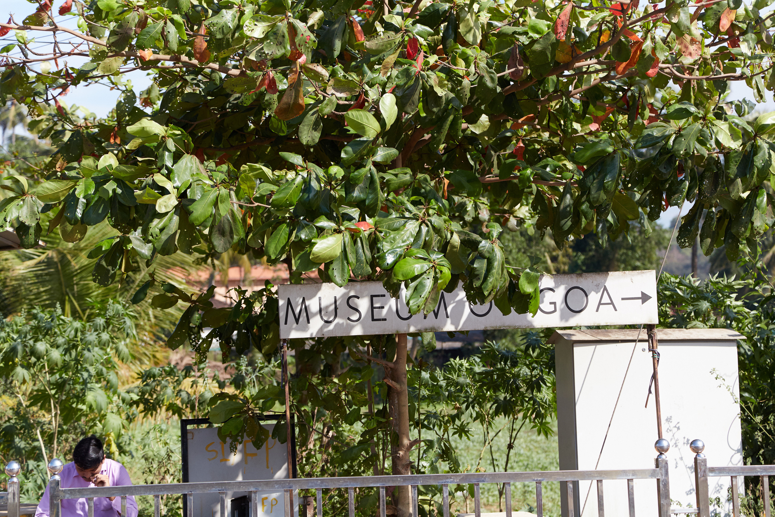 Индия. ГОА, Мумбай, Аджента, Аурангобад. Креативный фотограф в Москве