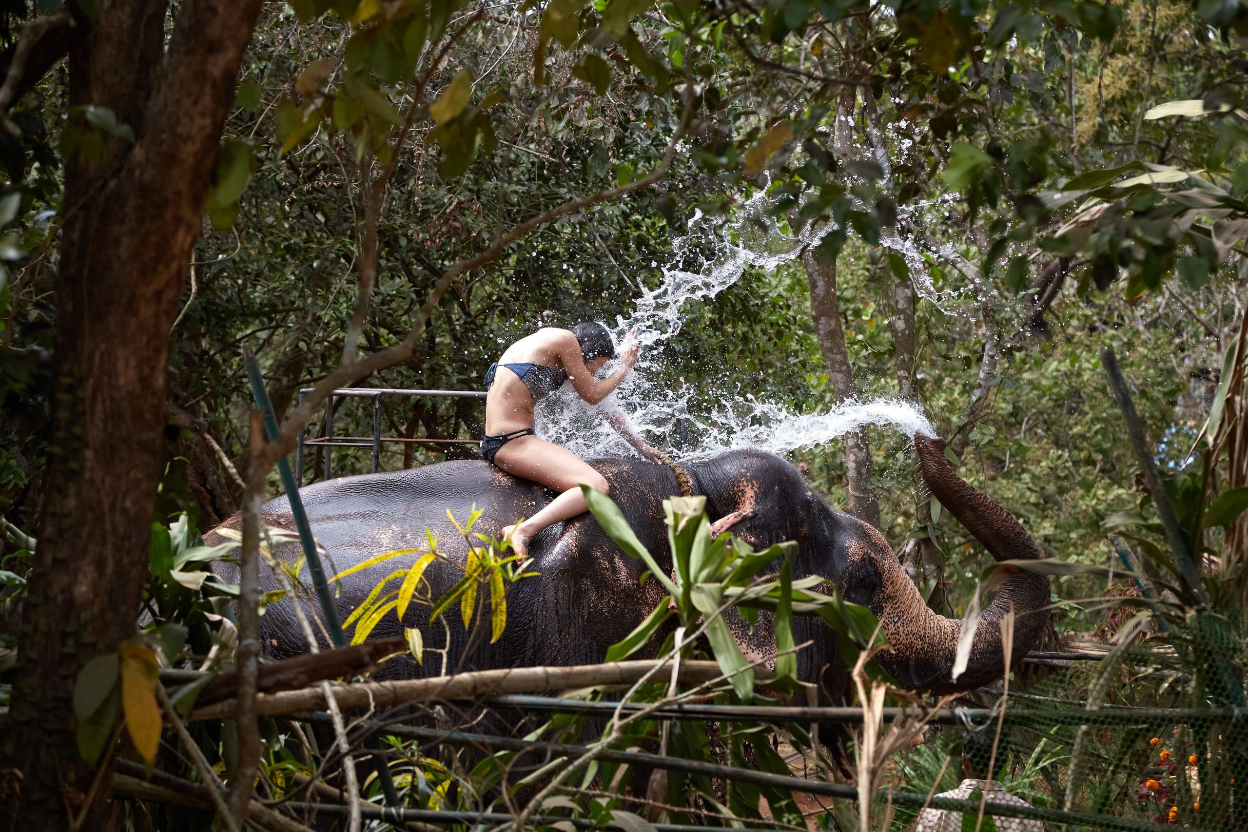 Индия. ГОА, Мумбай, Аджента, Аурангобад. Креативный фотограф в Москве
