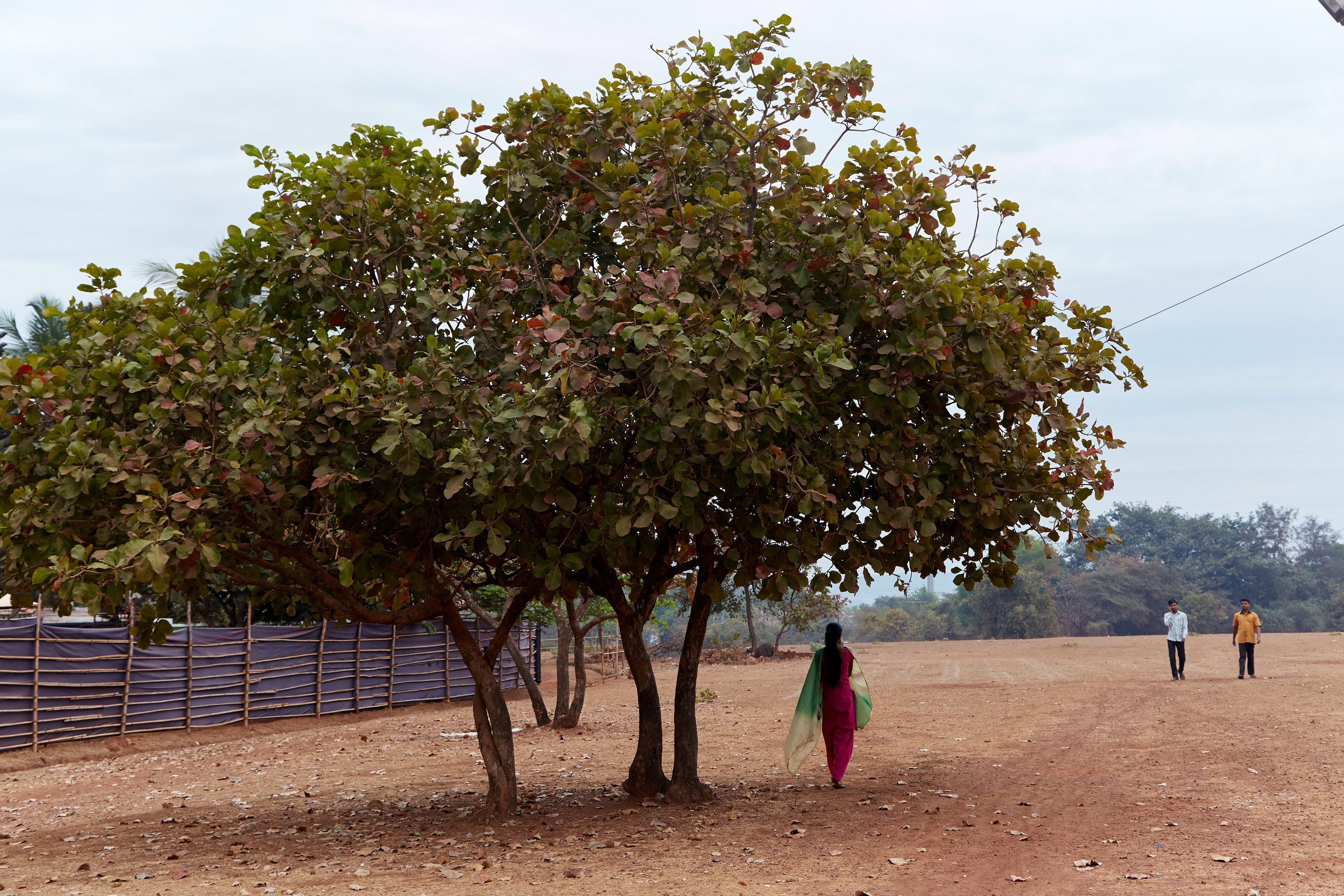 Индия. ГОА, Мумбай, Аджента, Аурангобад. Креативный фотограф в Москве