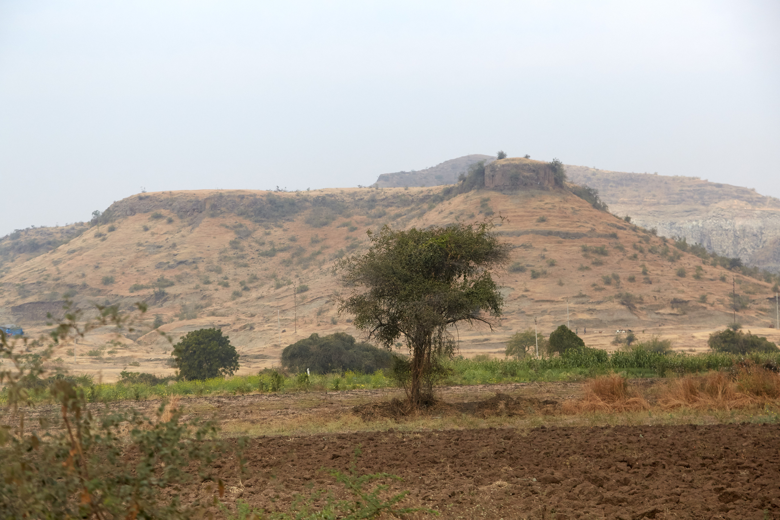 Индия. ГОА, Мумбай, Аджента, Аурангобад. Креативный фотограф в Москве