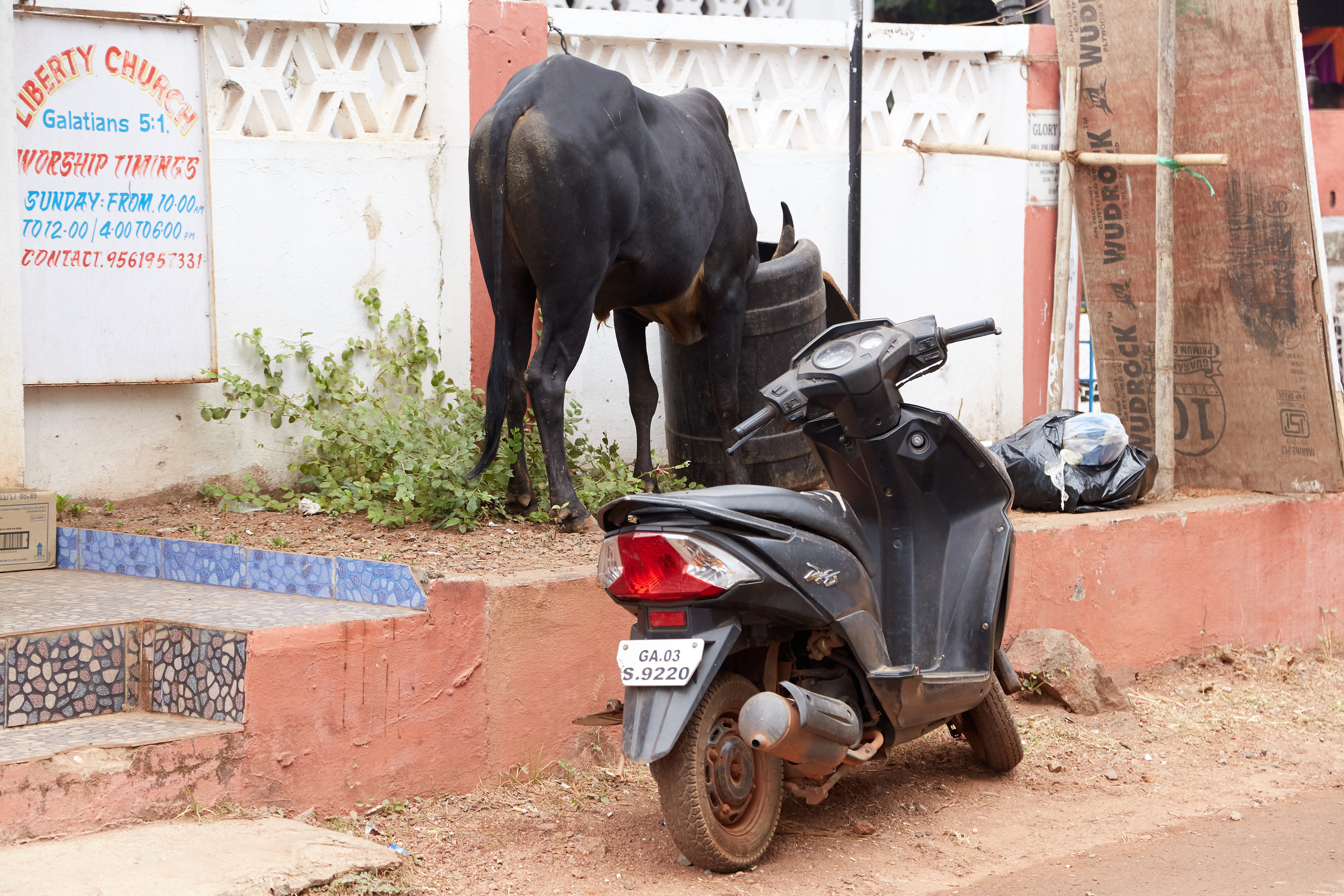 Индия. ГОА, Мумбай, Аджента, Аурангобад. Креативный фотограф в Москве