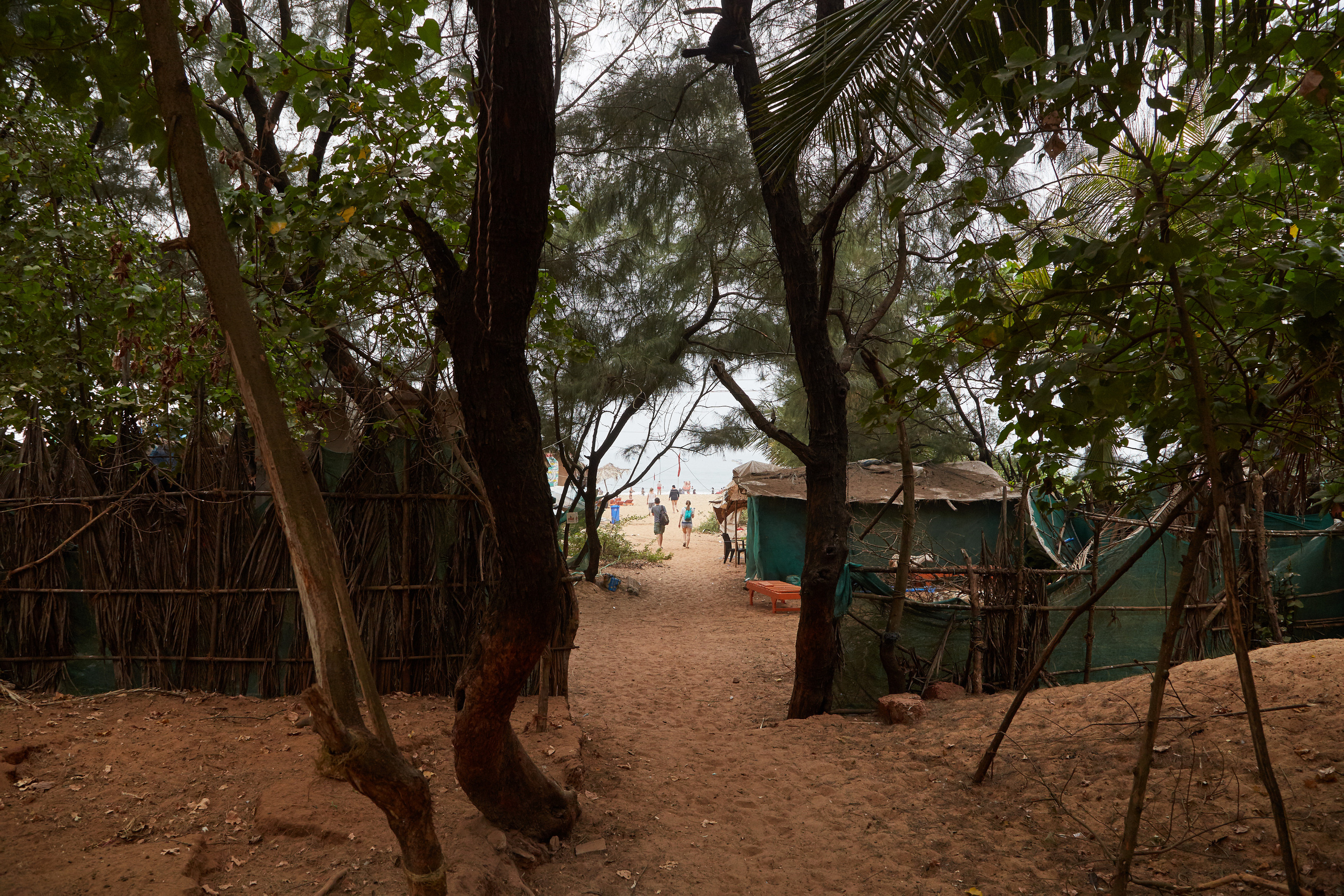 Индия. ГОА, Мумбай, Аджента, Аурангобад. Креативный фотограф в Москве