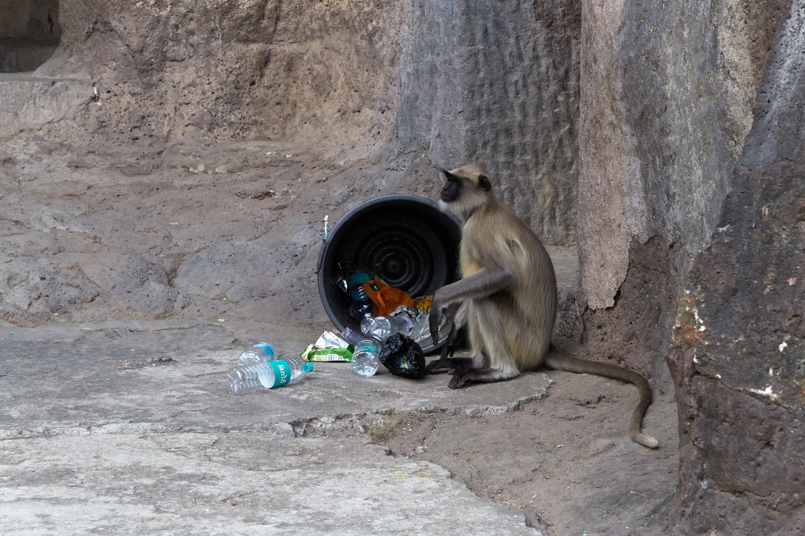 Индия. ГОА, Мумбай, Аджента, Аурангобад. Креативный фотограф в Москве