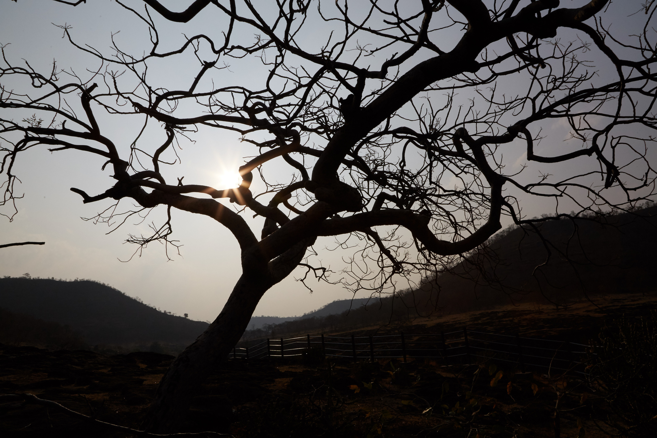 Индия. ГОА, Мумбай, Аджента, Аурангобад. Креативный фотограф в Москве