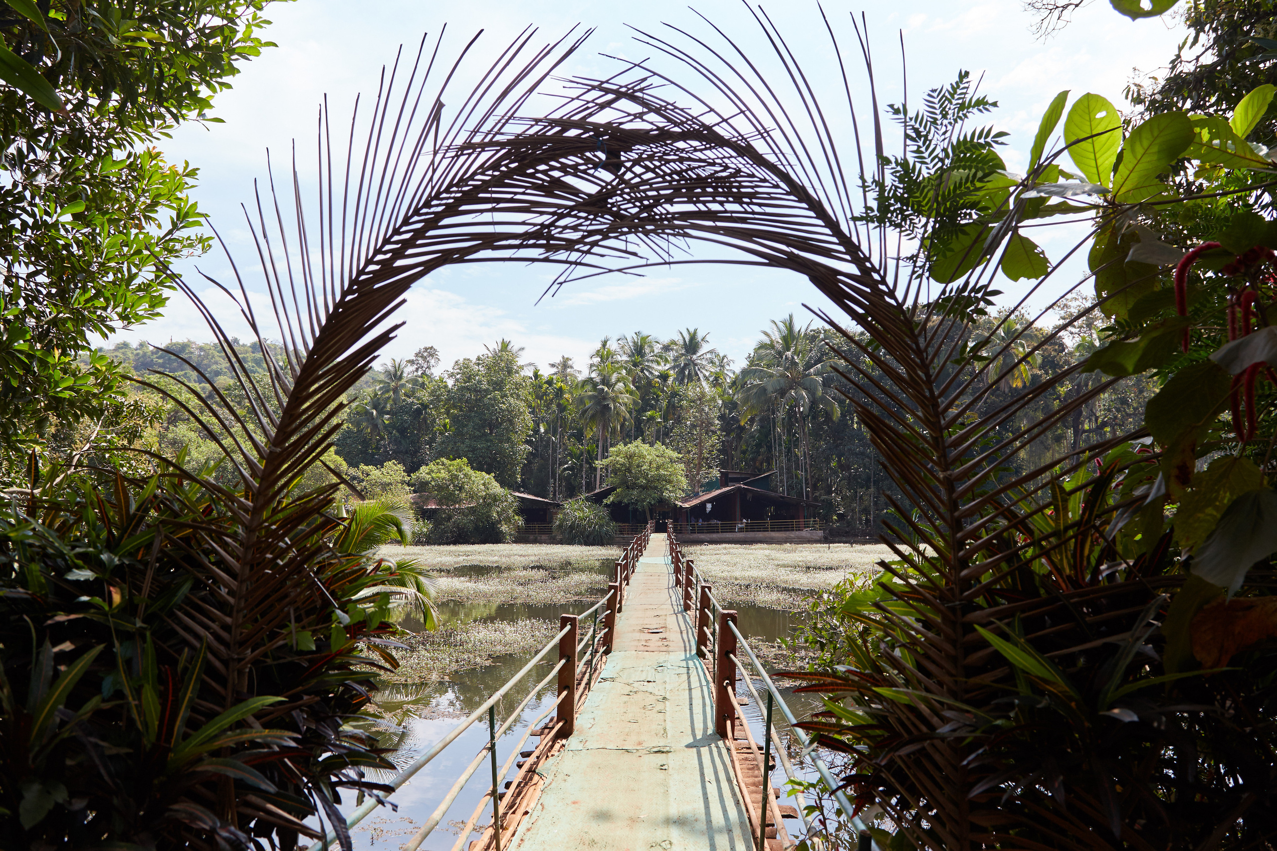 Индия. ГОА, Мумбай, Аджента, Аурангобад. Креативный фотограф в Москве