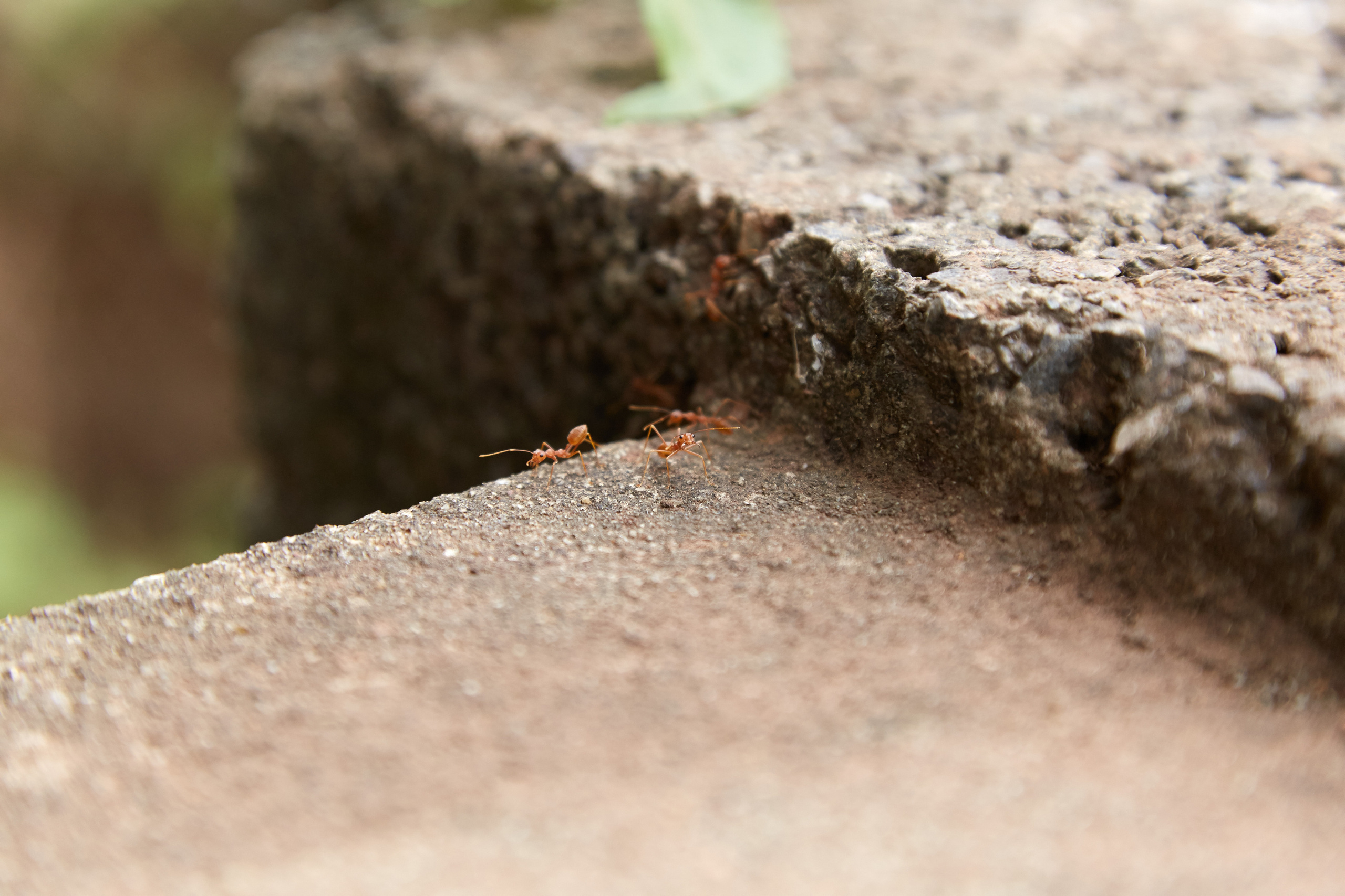 Индия. ГОА, Мумбай, Аджента, Аурангобад. Креативный фотограф в Москве