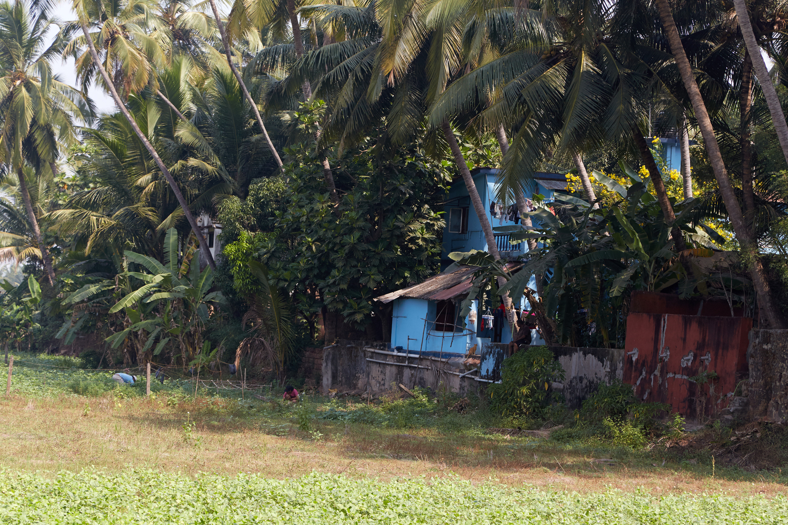 Индия. ГОА, Мумбай, Аджента, Аурангобад. Креативный фотограф в Москве